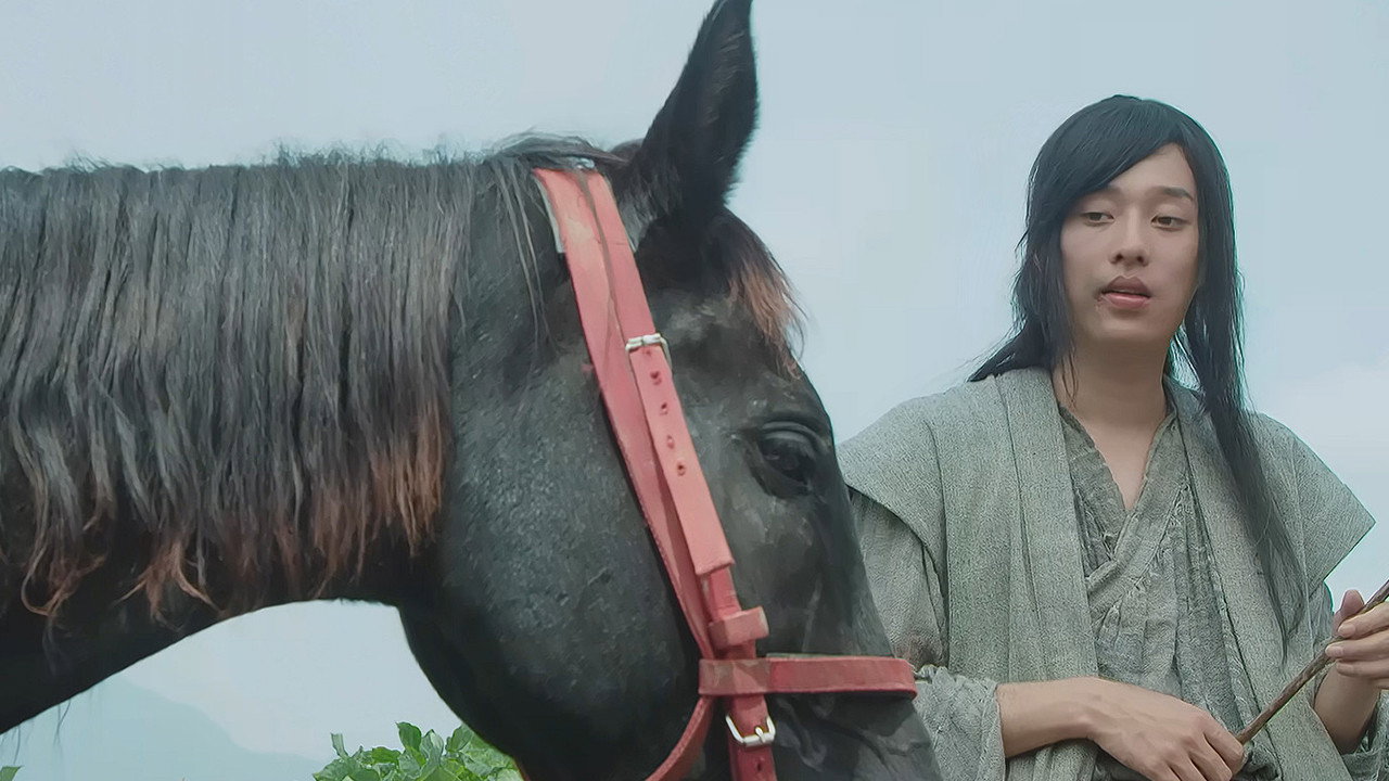 风云九州1