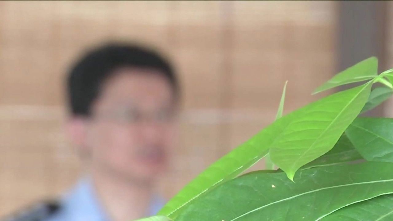 传奇故事 — Épisode 50