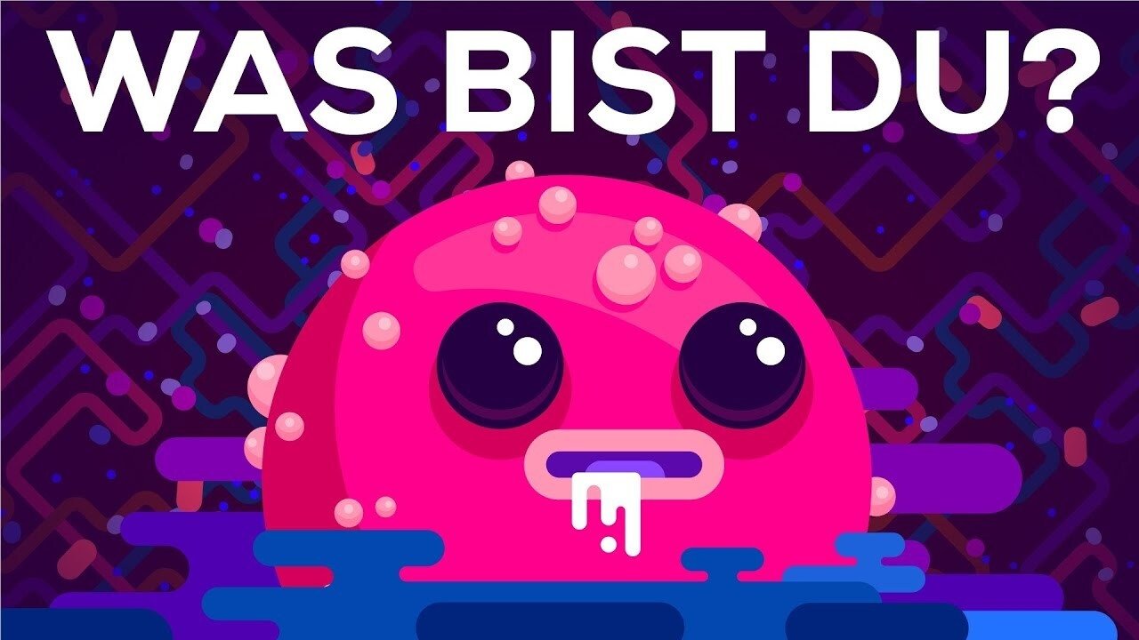 Kurzgesagt - In a Nutshell - Season 4 Episode 7 : What Are You?