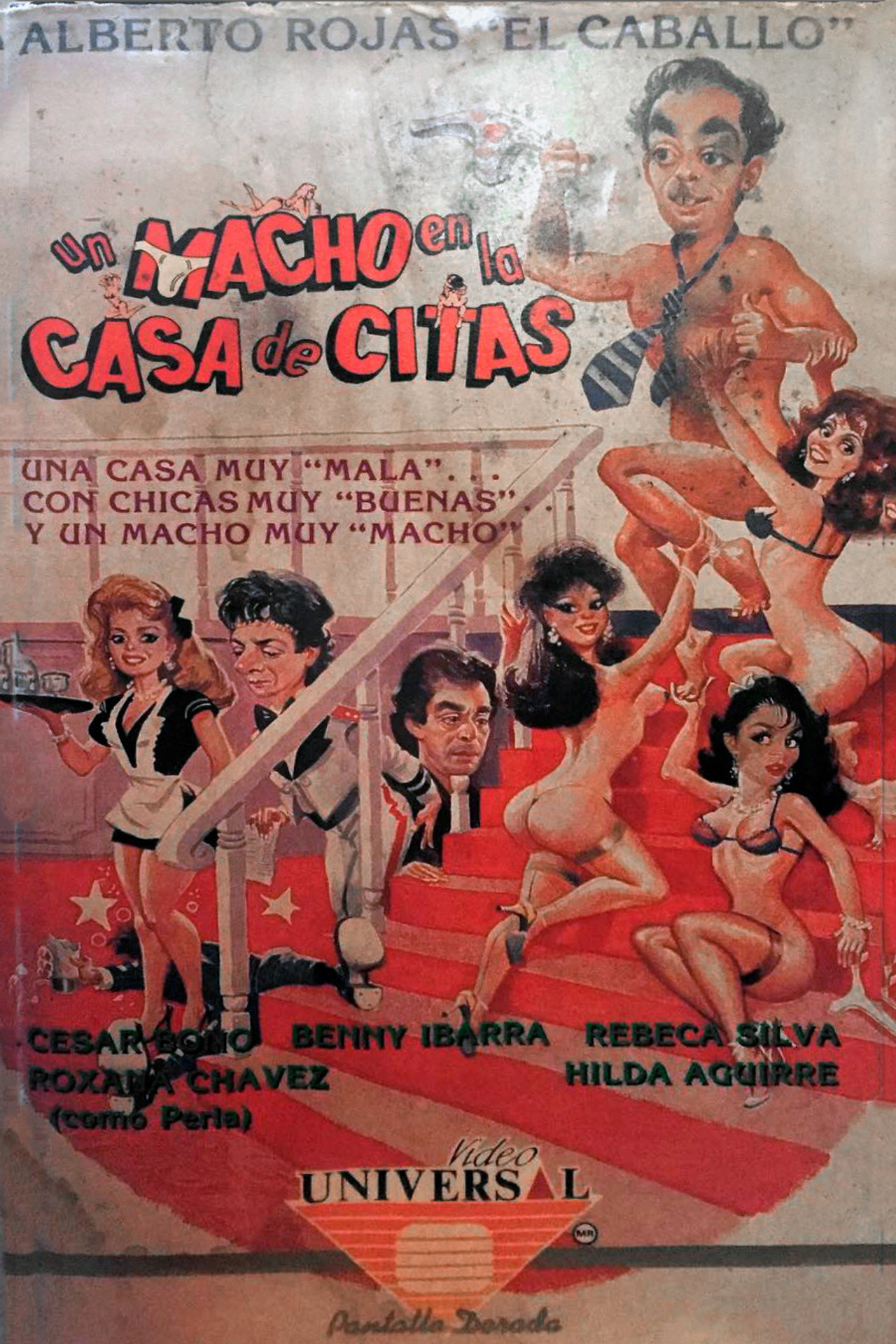 Un Macho en la Casa de Citas