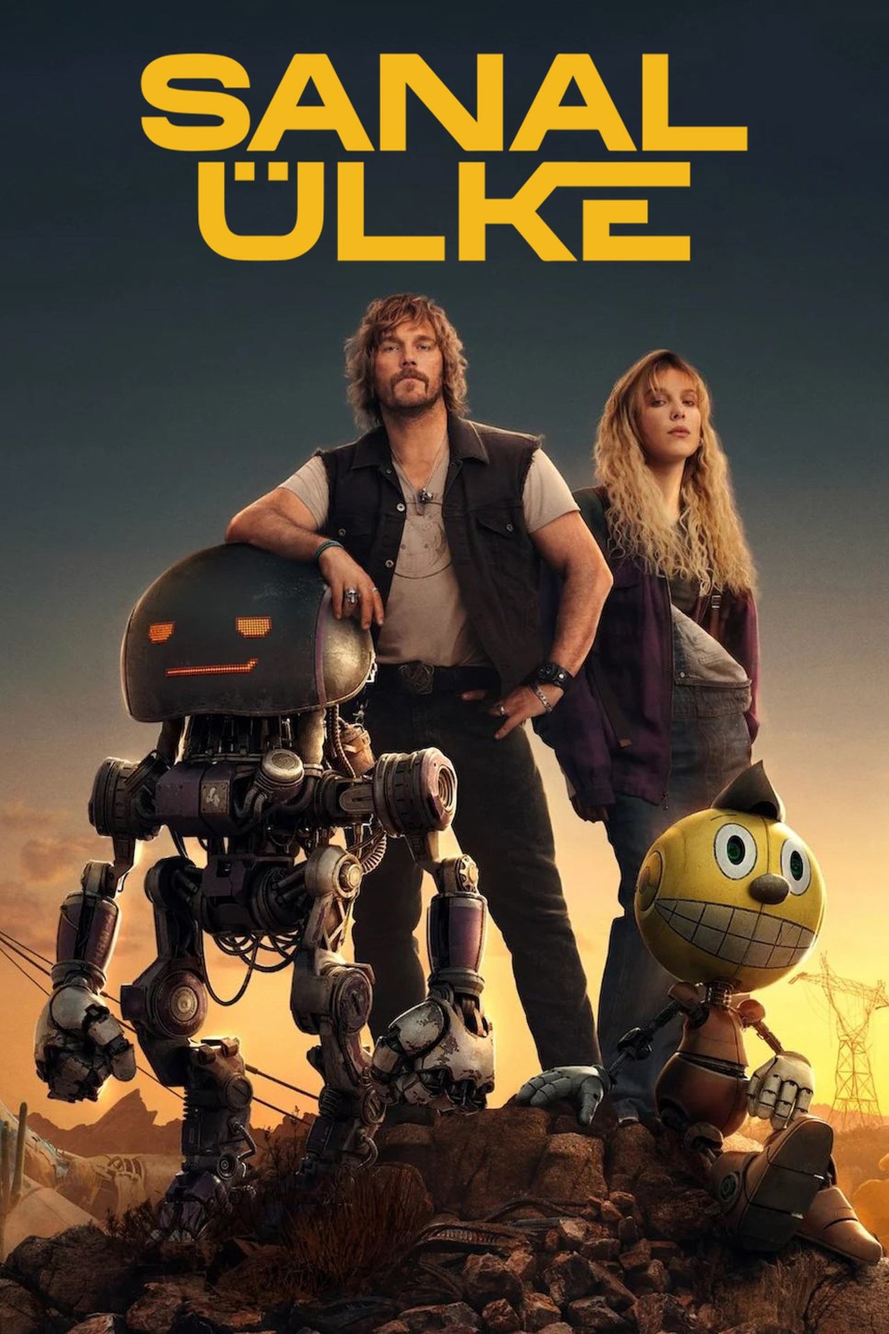 Sanal Ülke Poster
