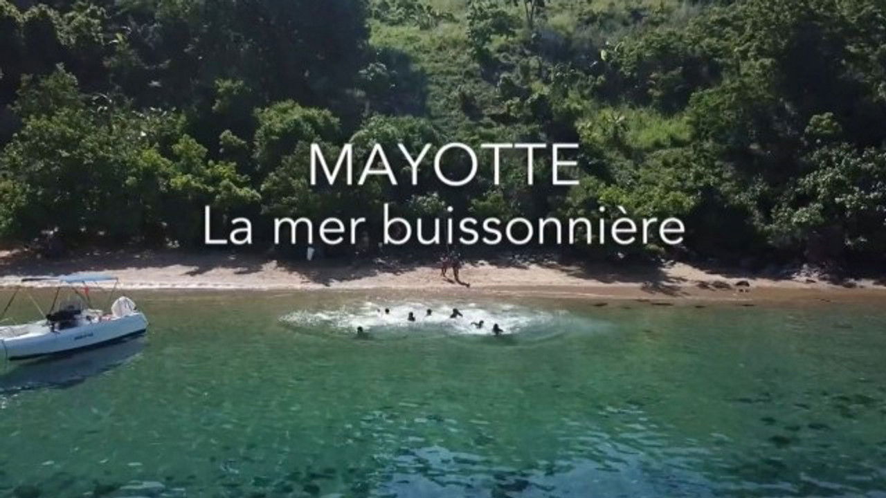 La ligne bleue Outre-mer — Mayotte, la mer buissonnière