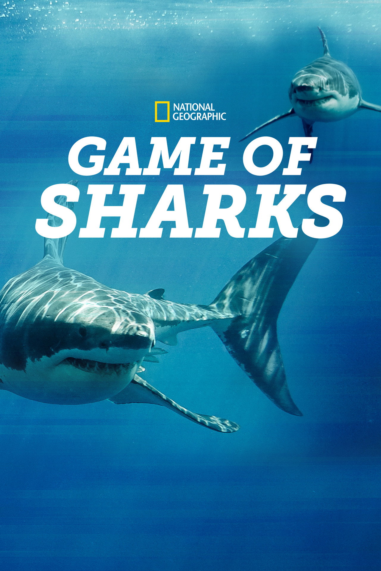 Game of Sharks filmaffisch