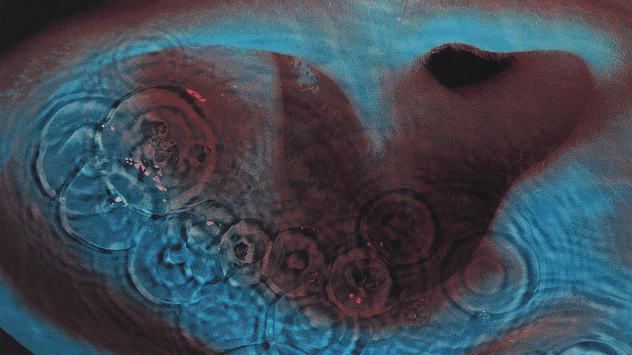Meddle