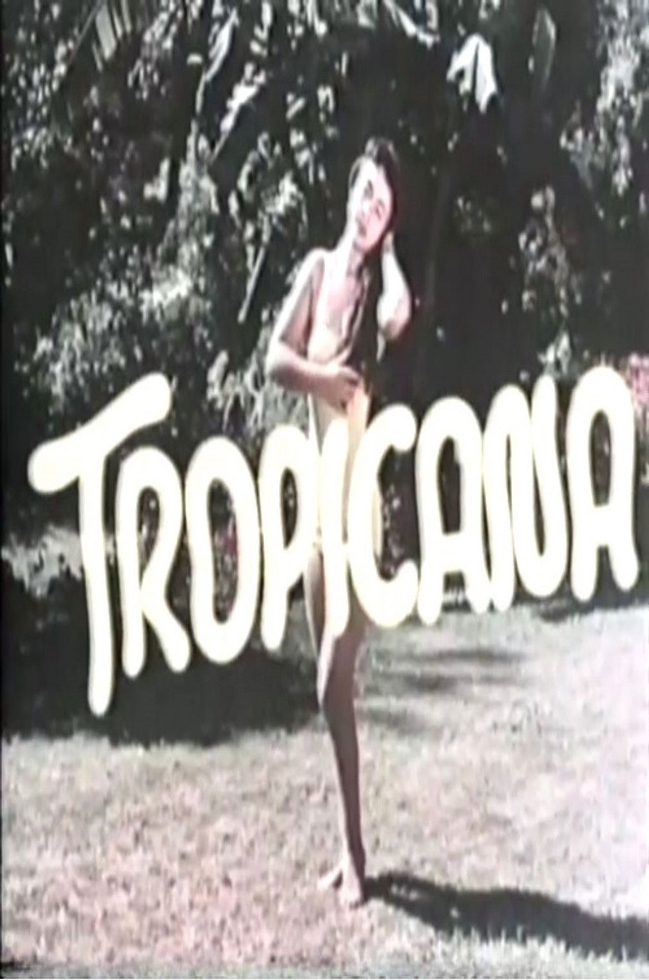 Tropicana Backdrop