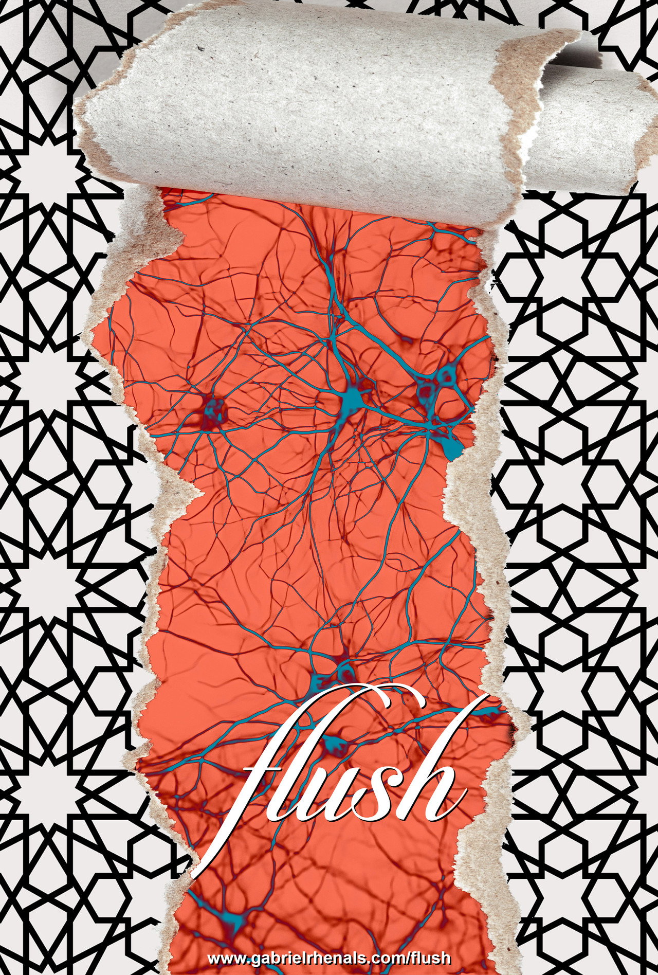 Flush poster