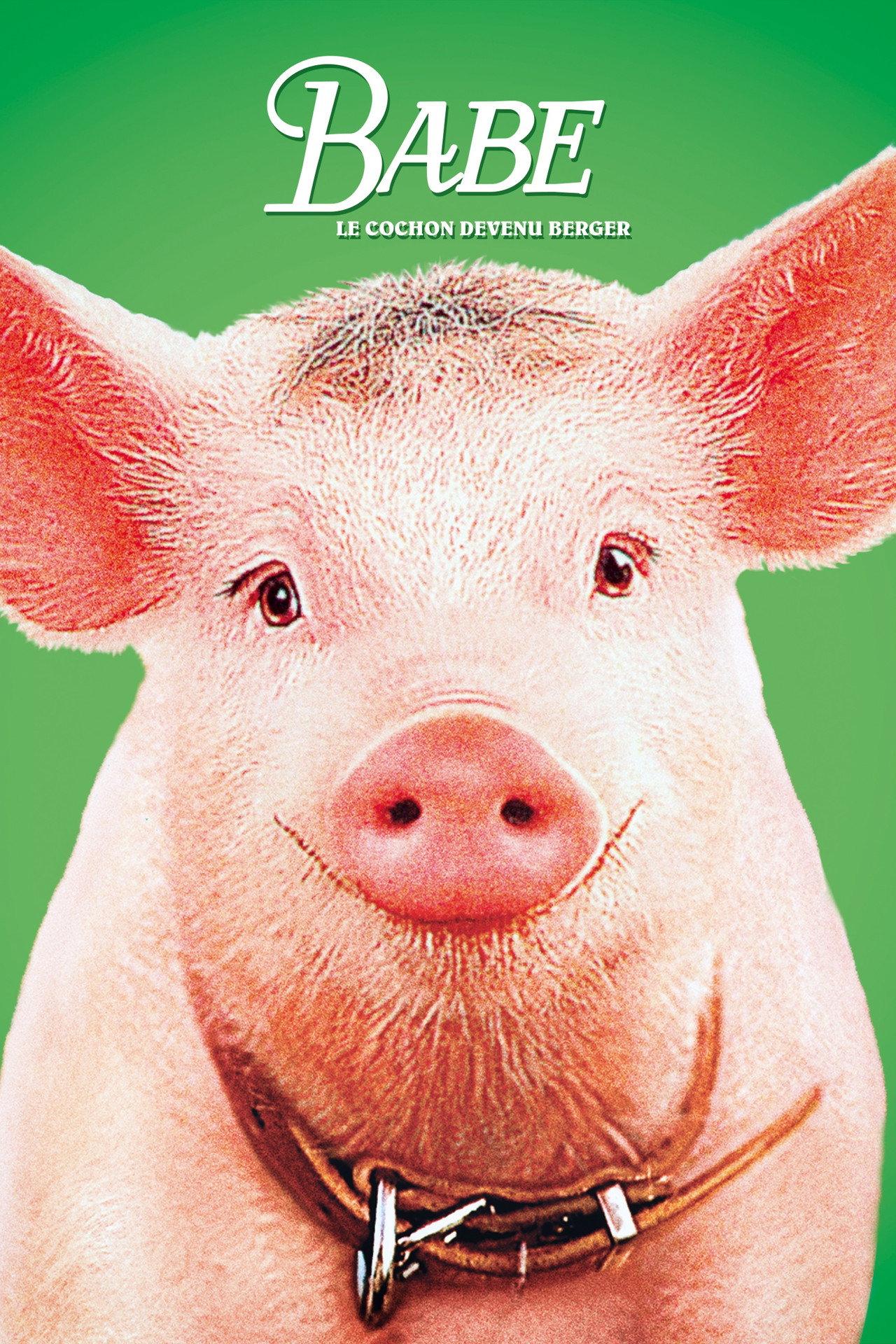 Babe, le cochon devenu berger poster