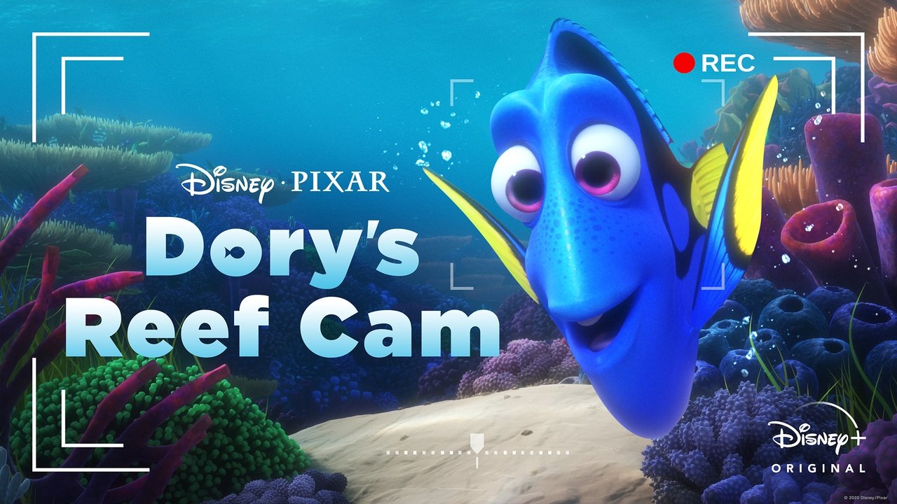 Dory's Reef Cam background