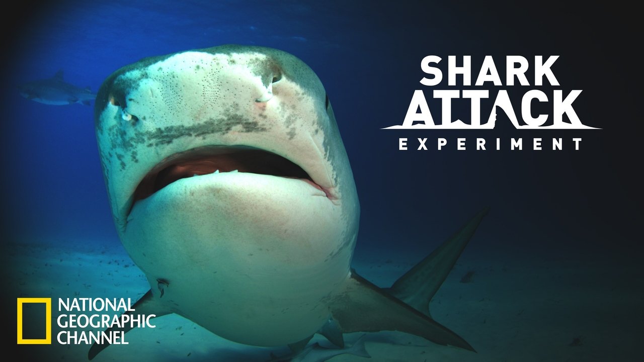 Shark Attack Experiment Live
