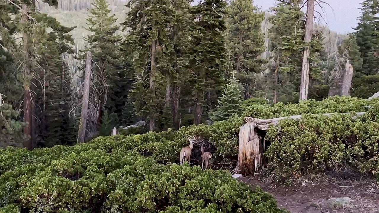 PARK'D — Épisode 2