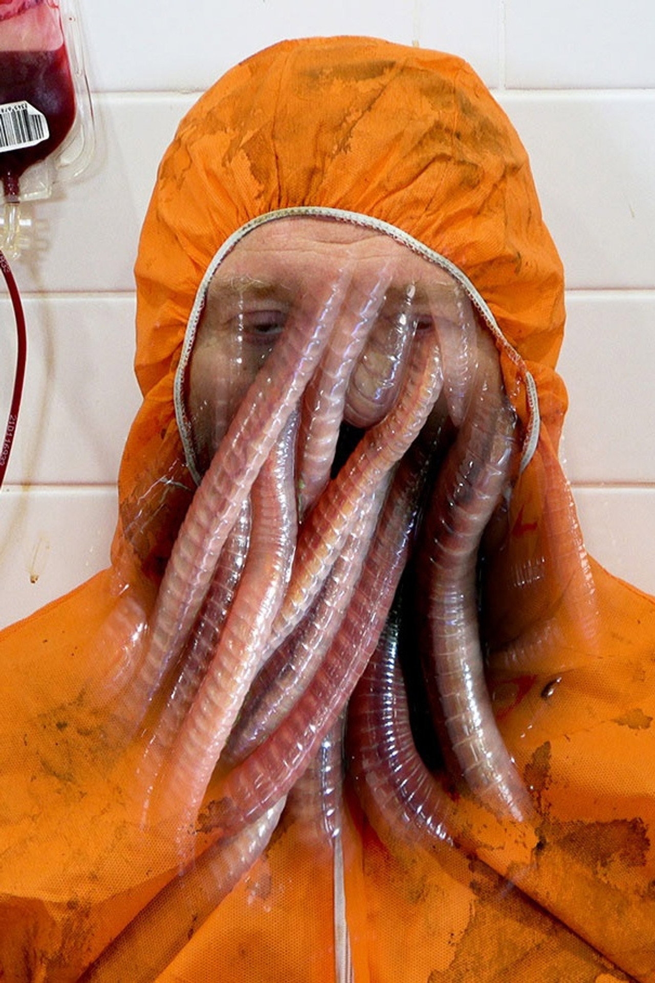 Worm Pornography filmaffisch