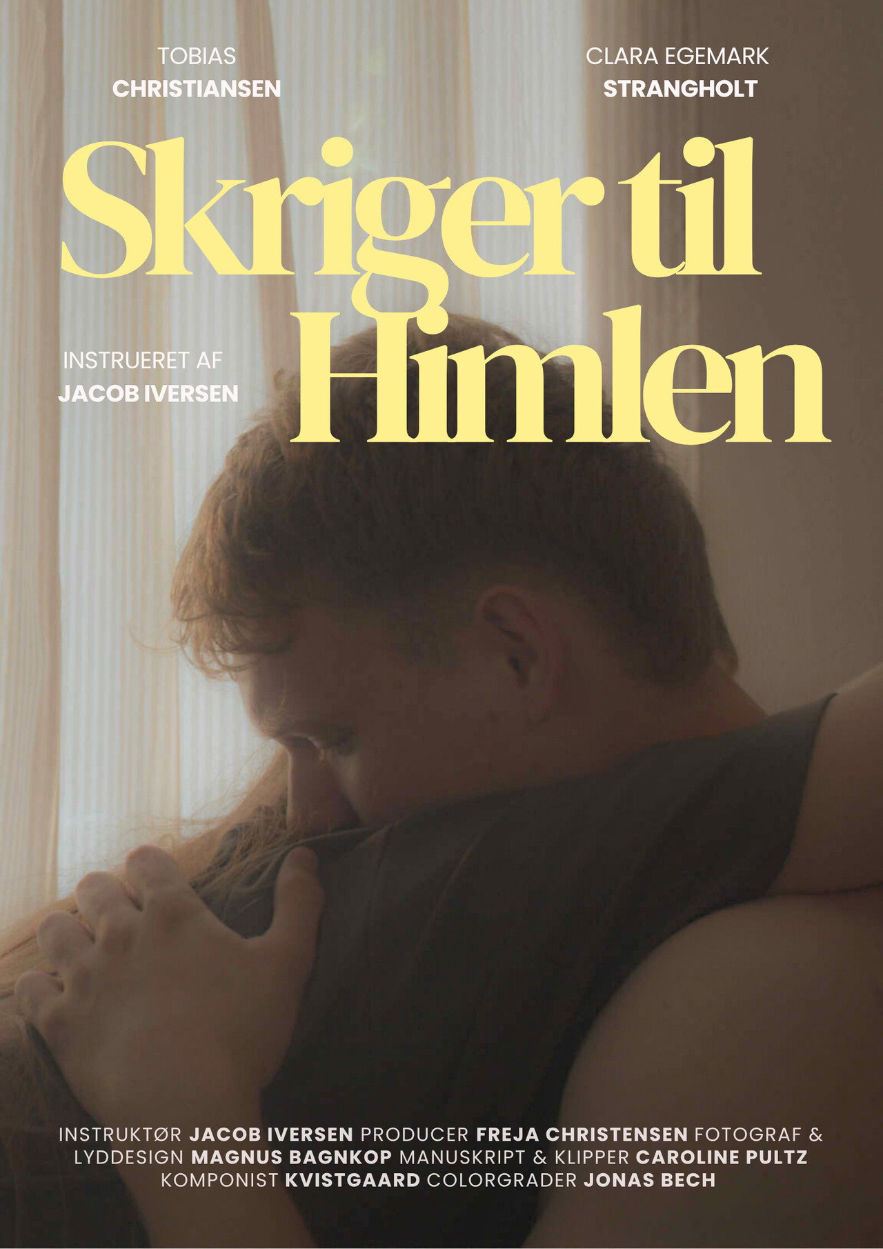 Skriger til Himlen filmaffisch