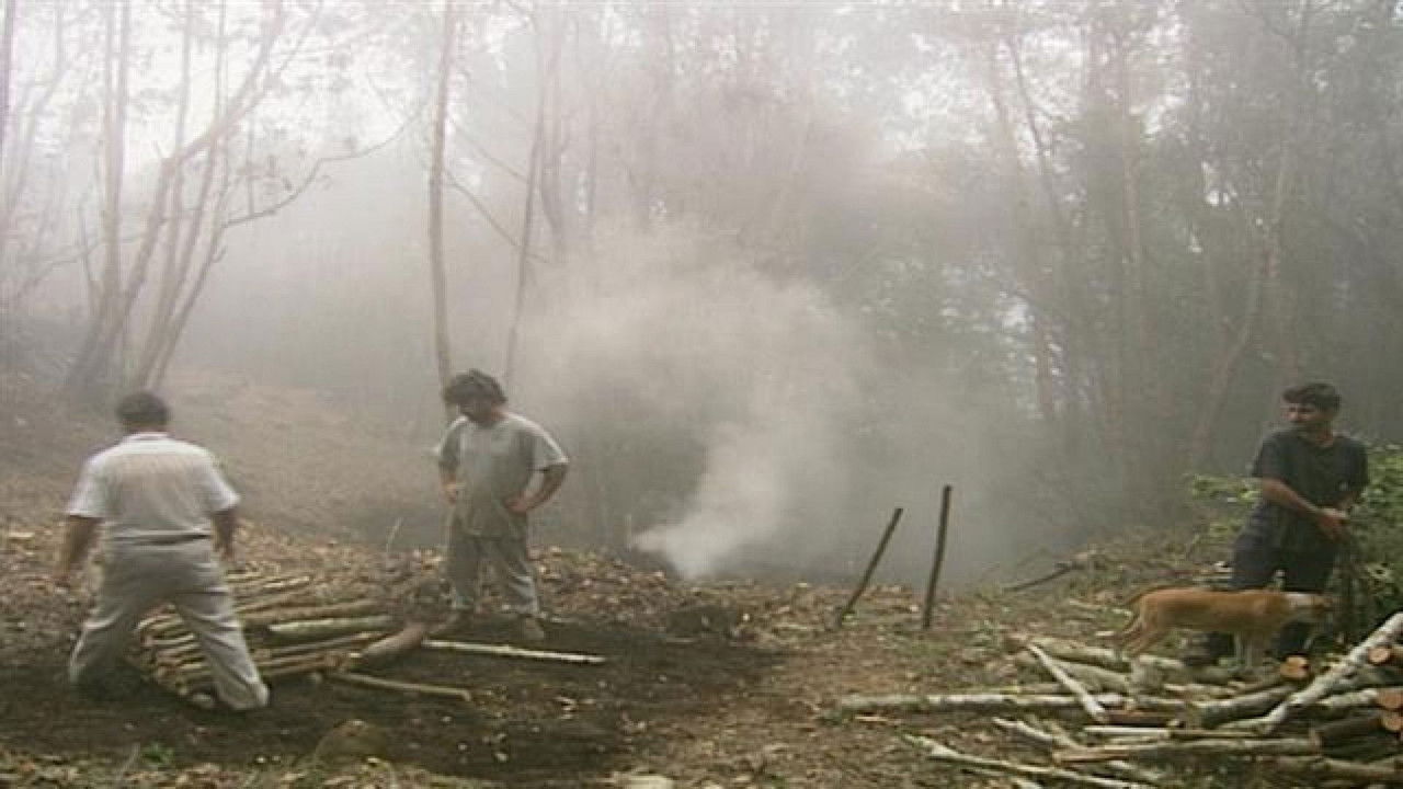 Senderos isleños — Épisode 6