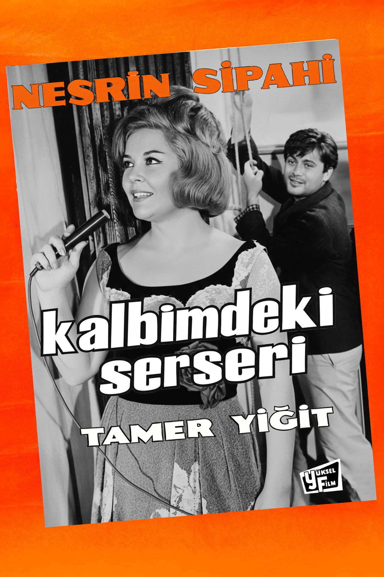 Kalbimdeki Serseri