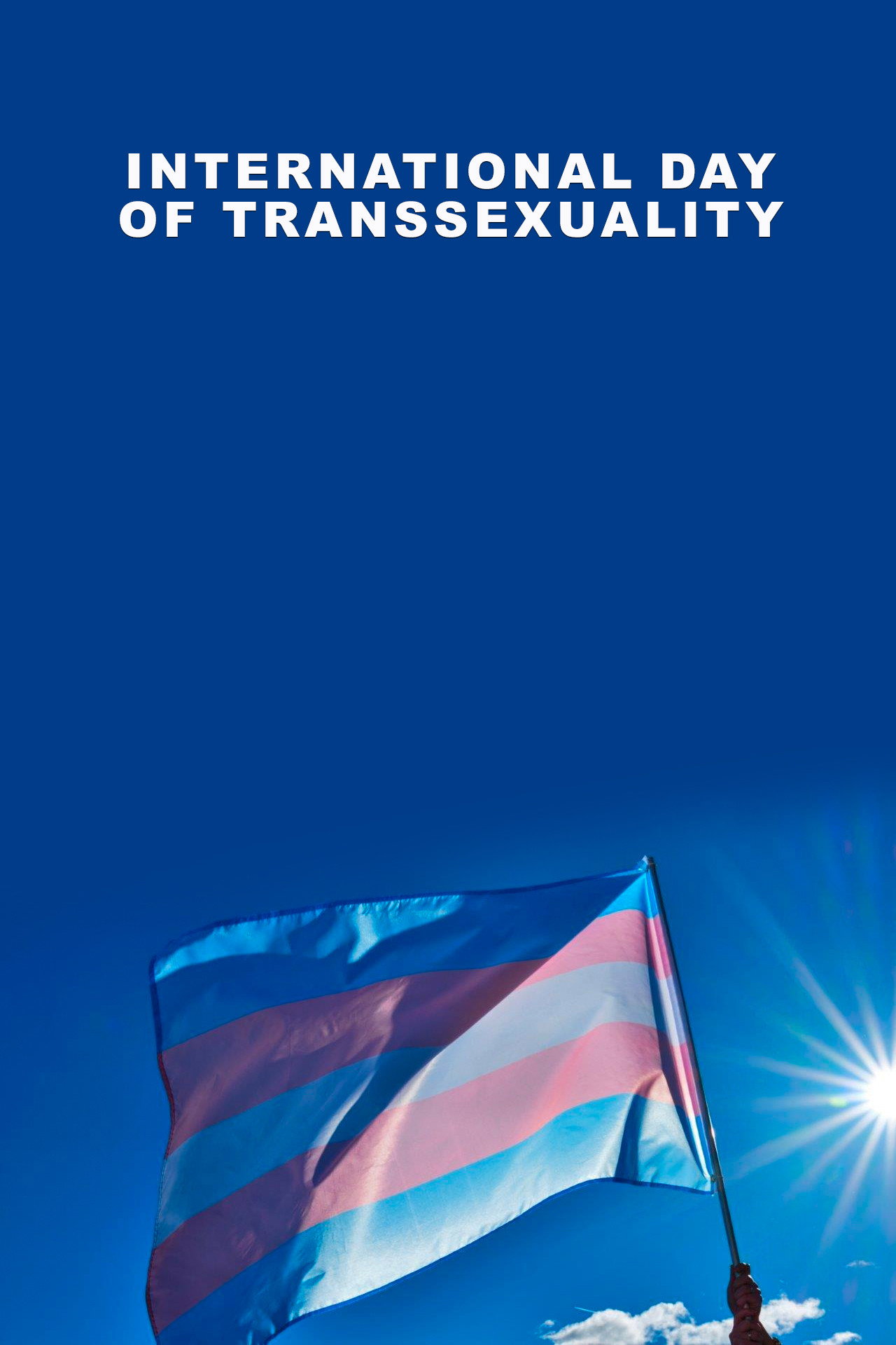 International Day of Transsexuality Backdrop