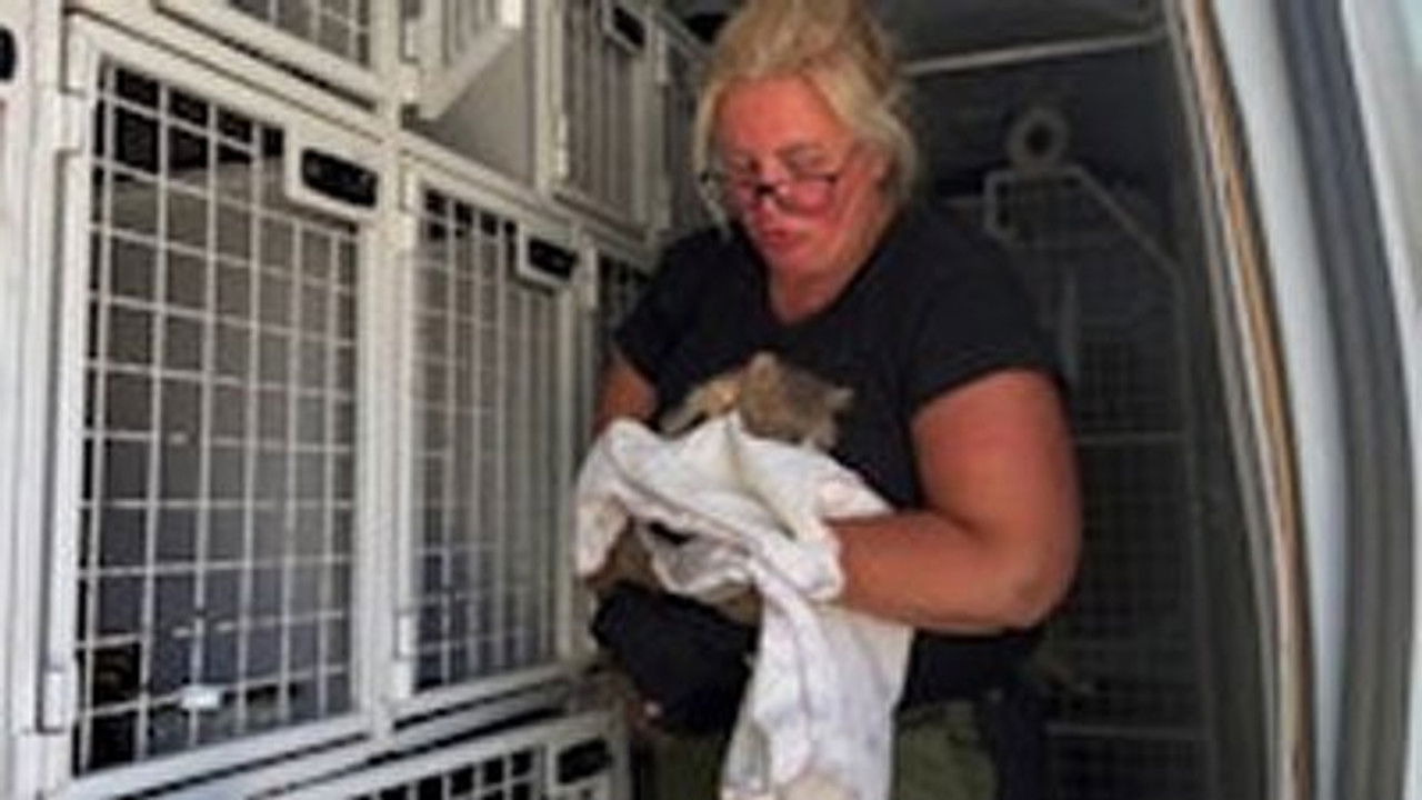 Familien fra Bryggen — Épisode 6