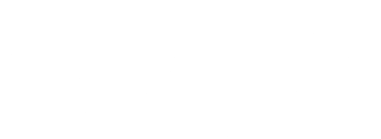 The Summer Book