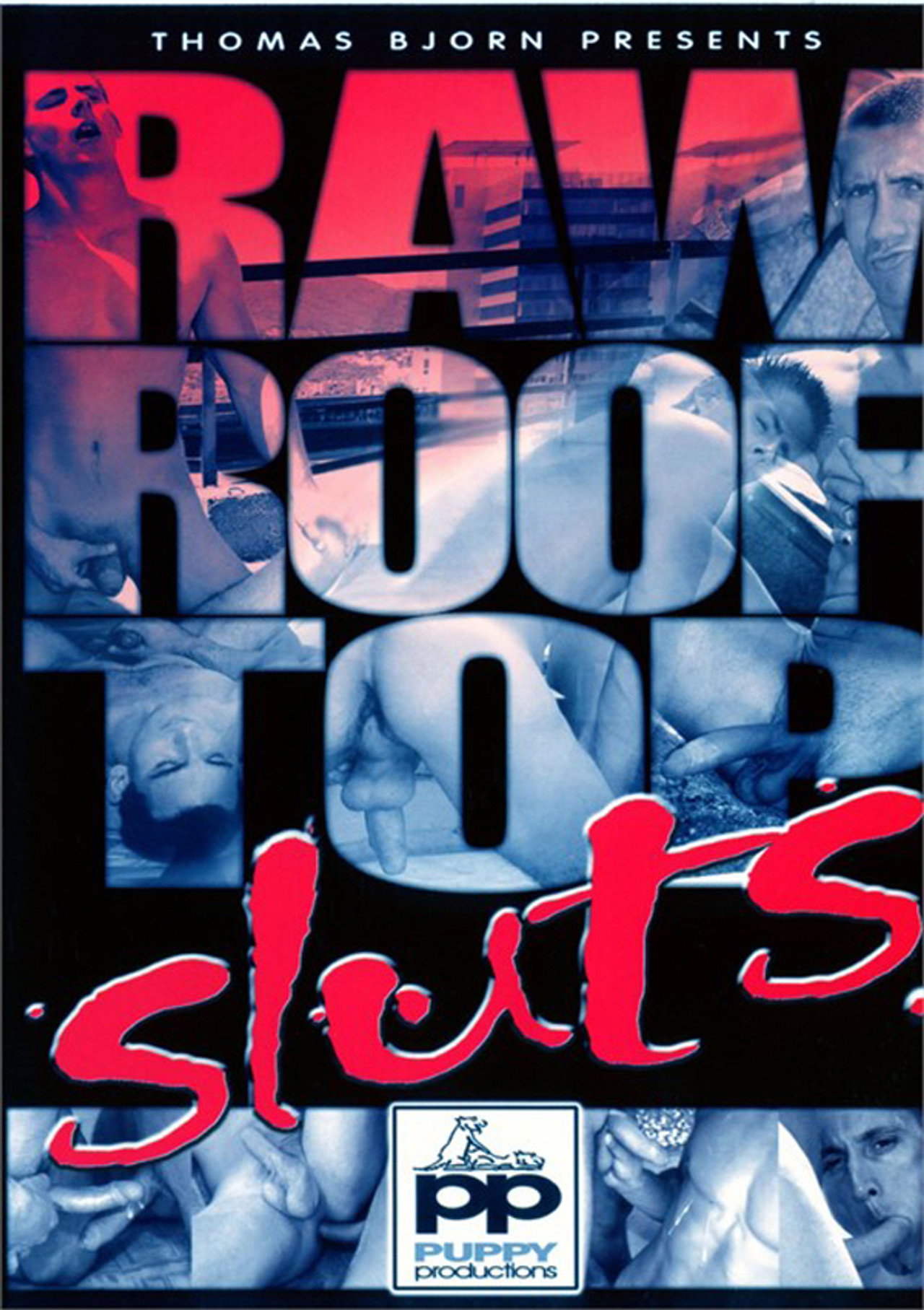 Raw Roof Top Sluts filmaffisch