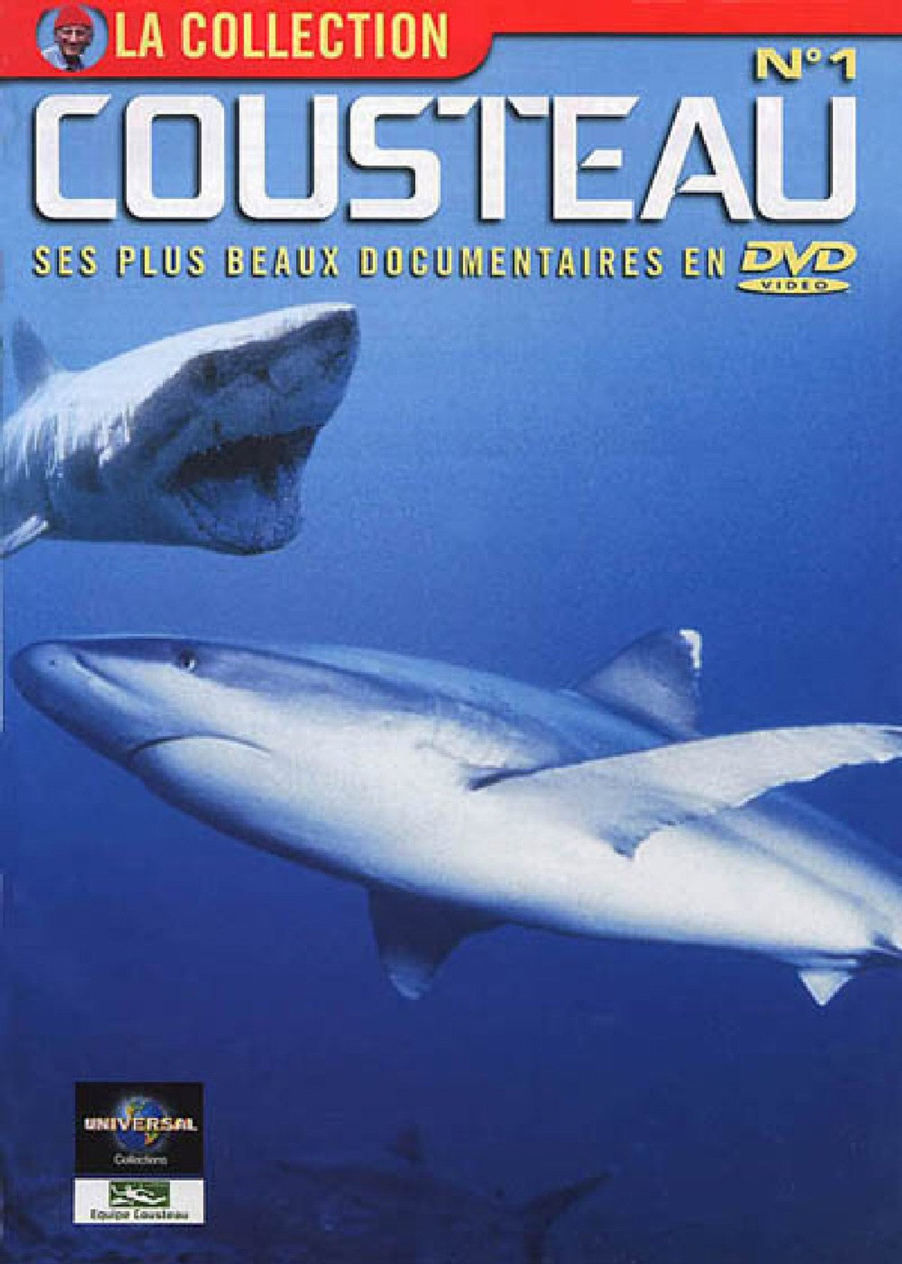 L’Odyssée sous-marine de l'équipe Cousteau affisch