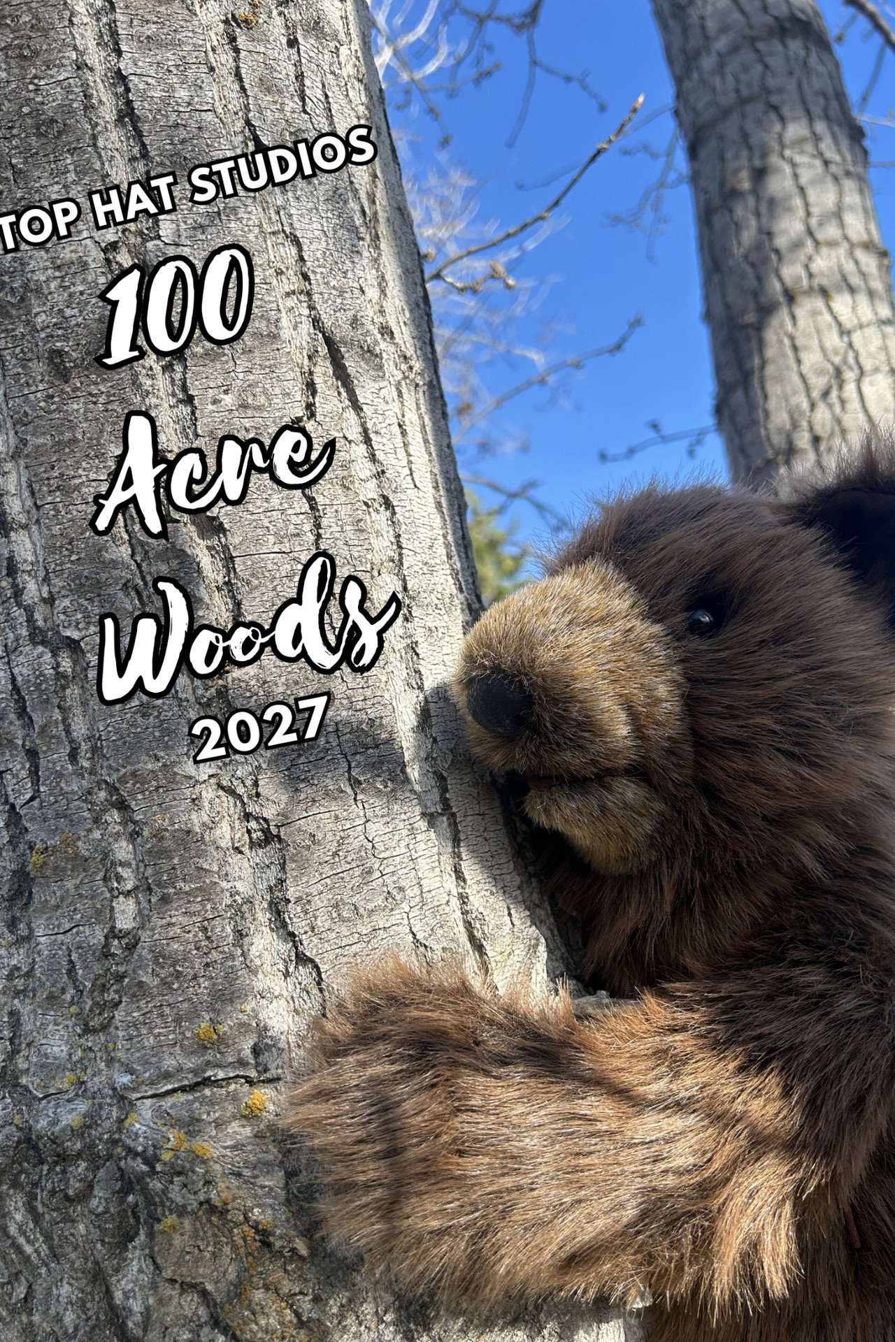 100 Acre Woods Backdrop
