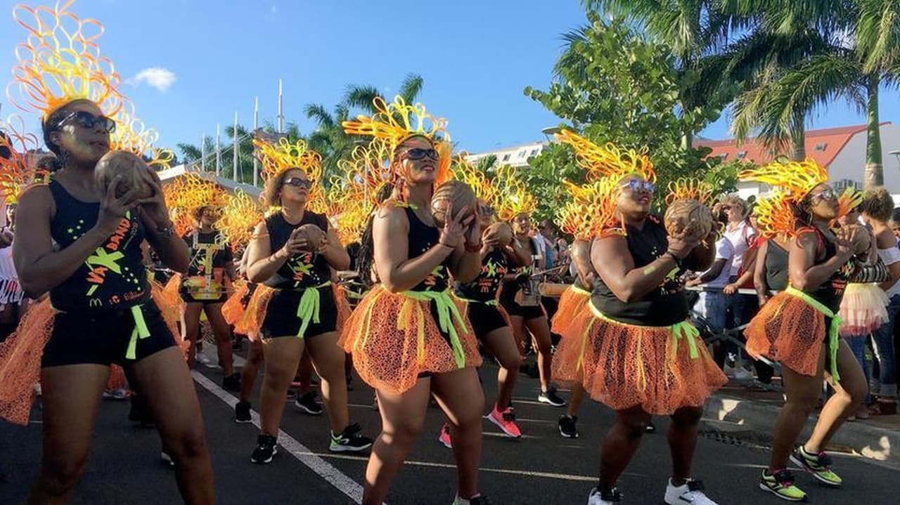 Verrückt nach Meer - Season 10 Episode 12 : Masquerade in Martinique