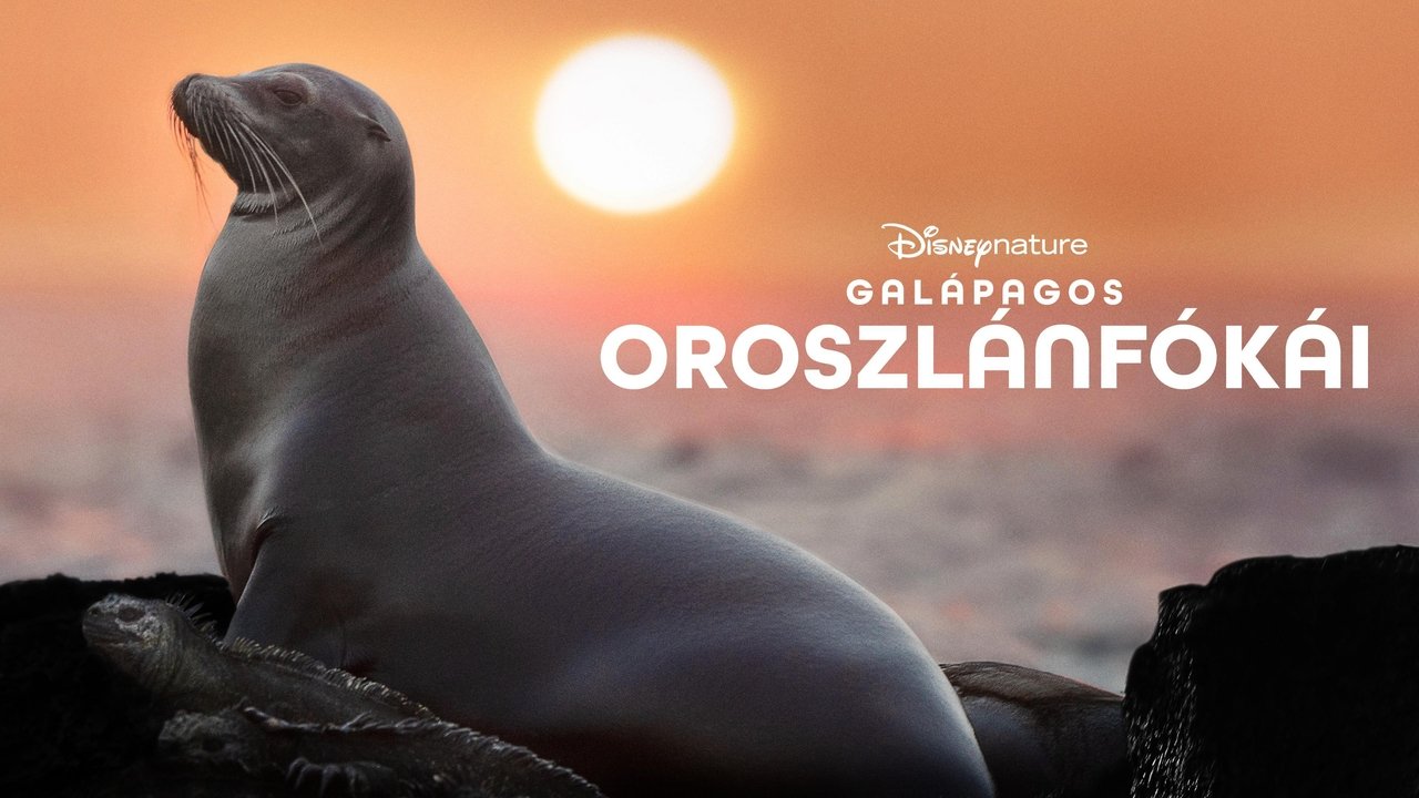 title image