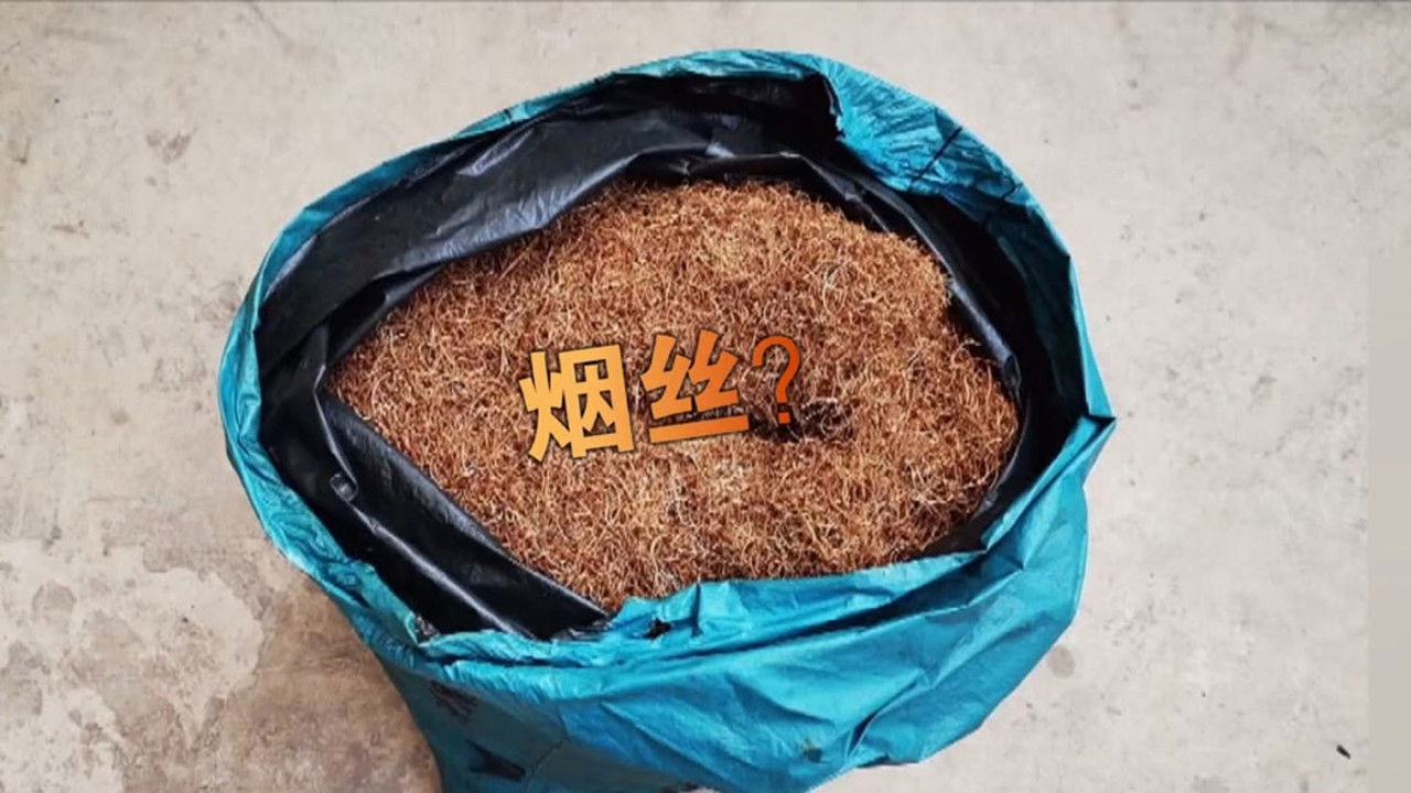 传奇故事 — Épisode 198