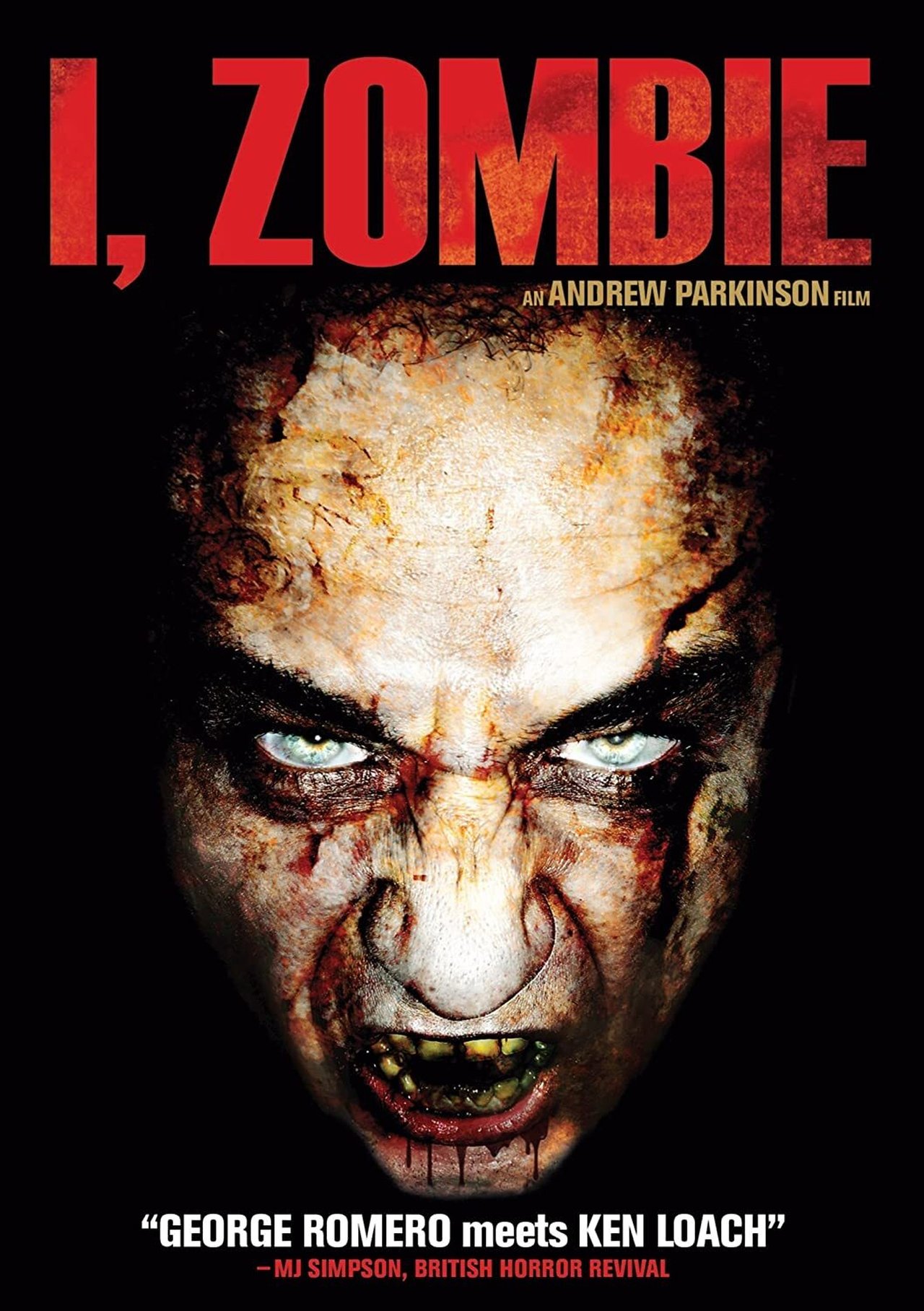 Moi, zombie : chronique de la douleur poster