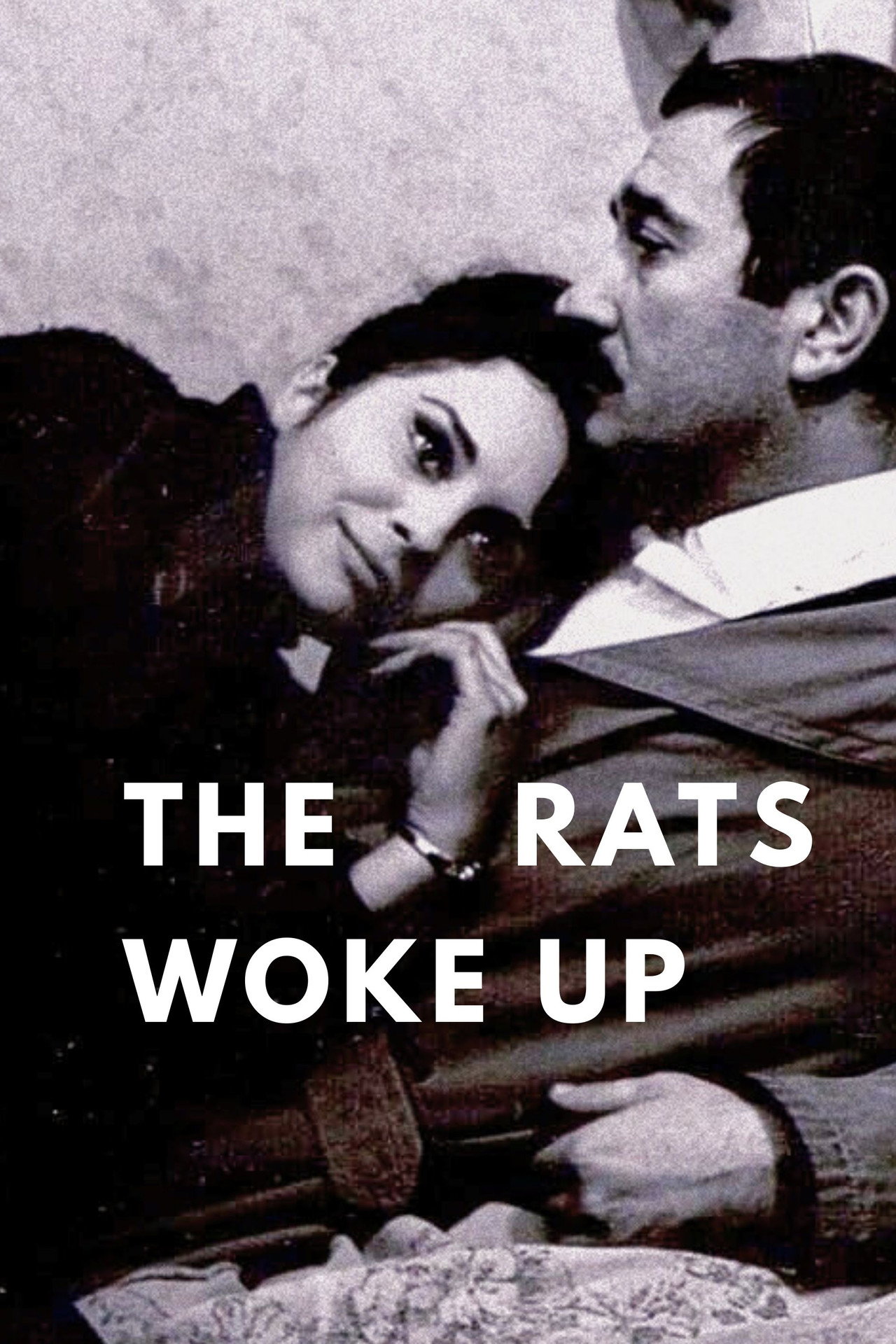The Rats Woke Up