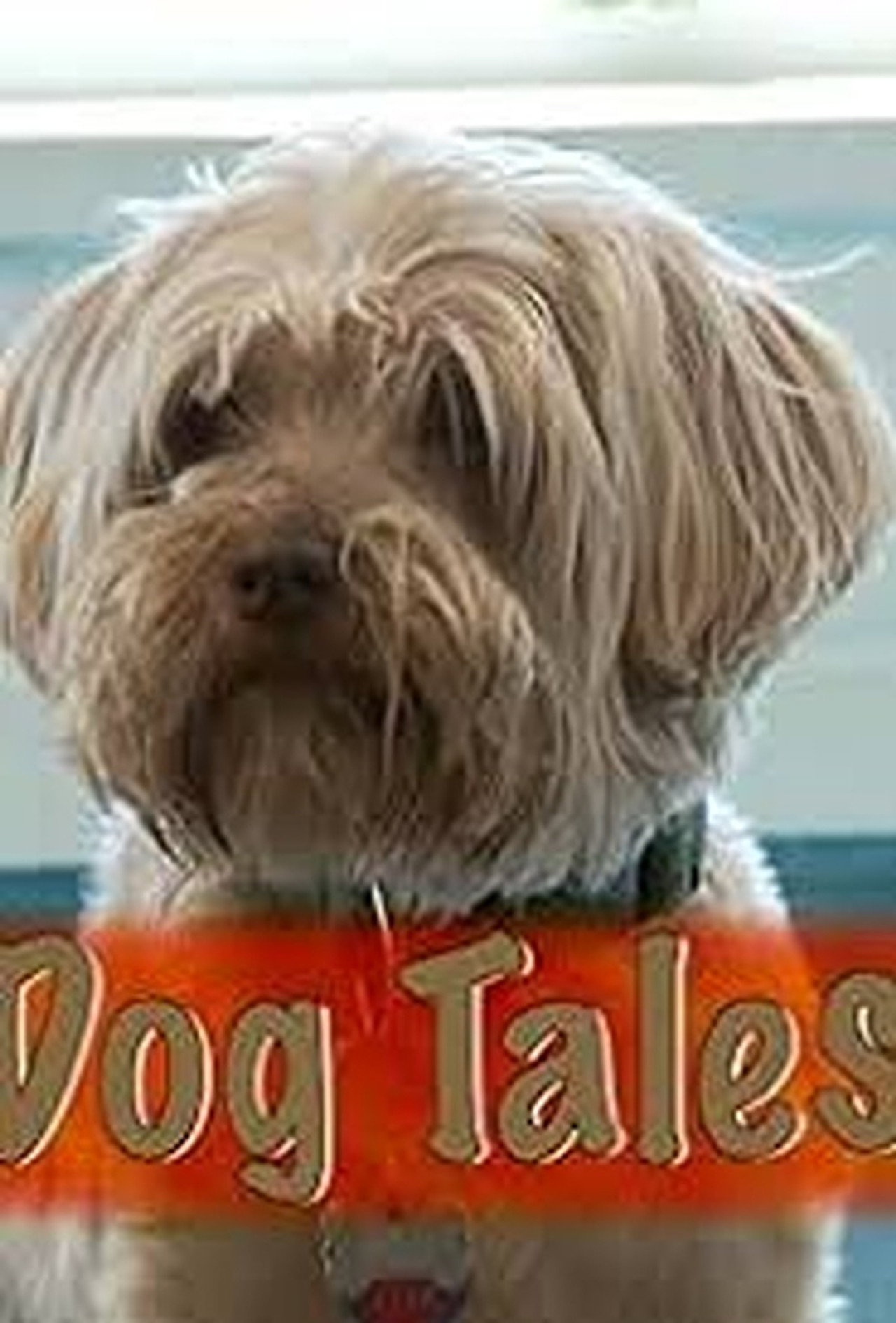 Dog Tales affisch
