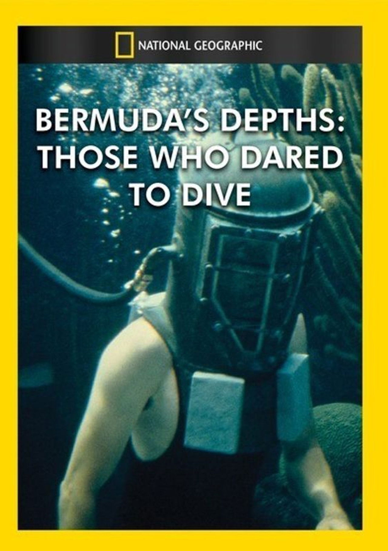 Bermuda's Depths: Those Who Dared to Dive Backdrop