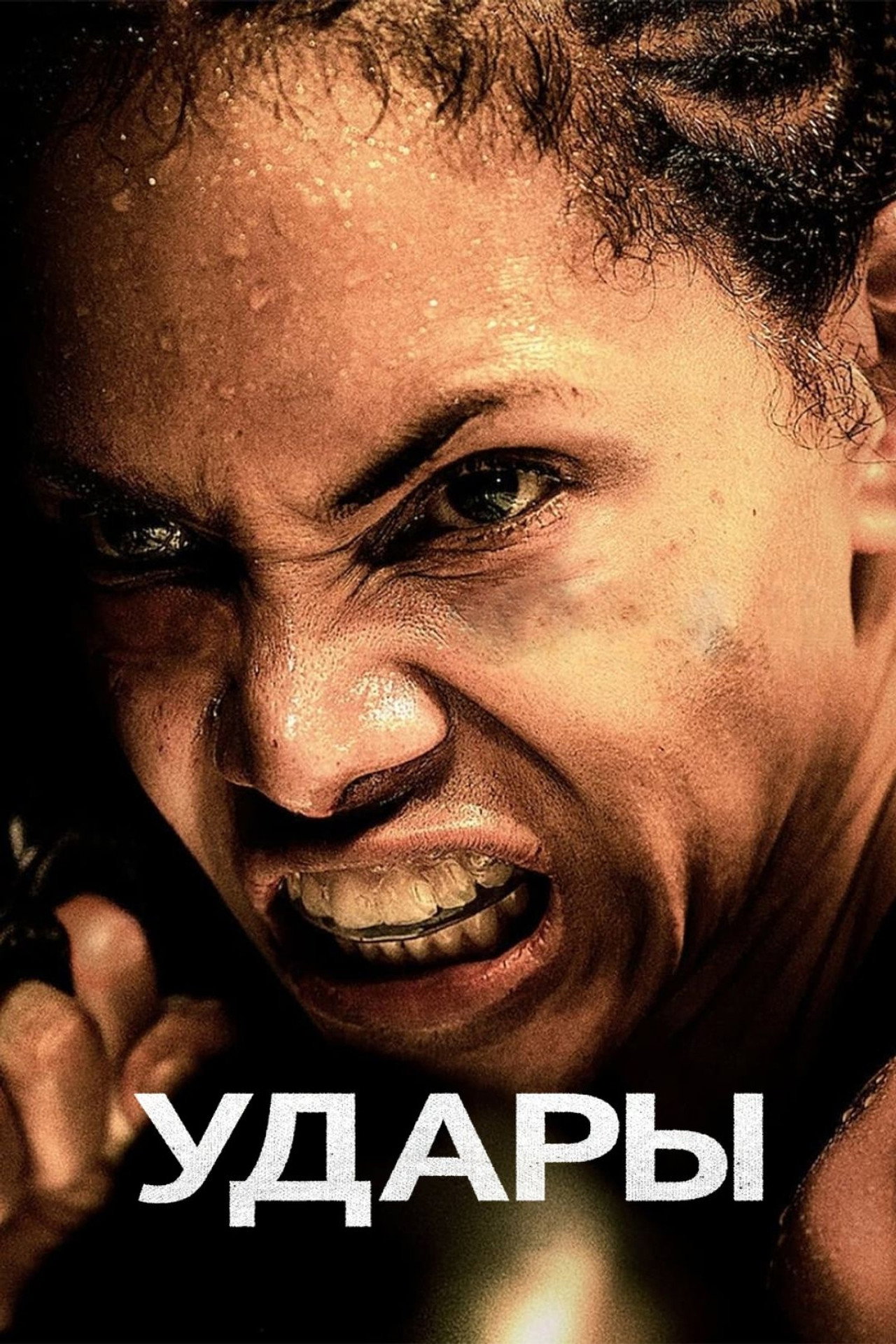 posters 26