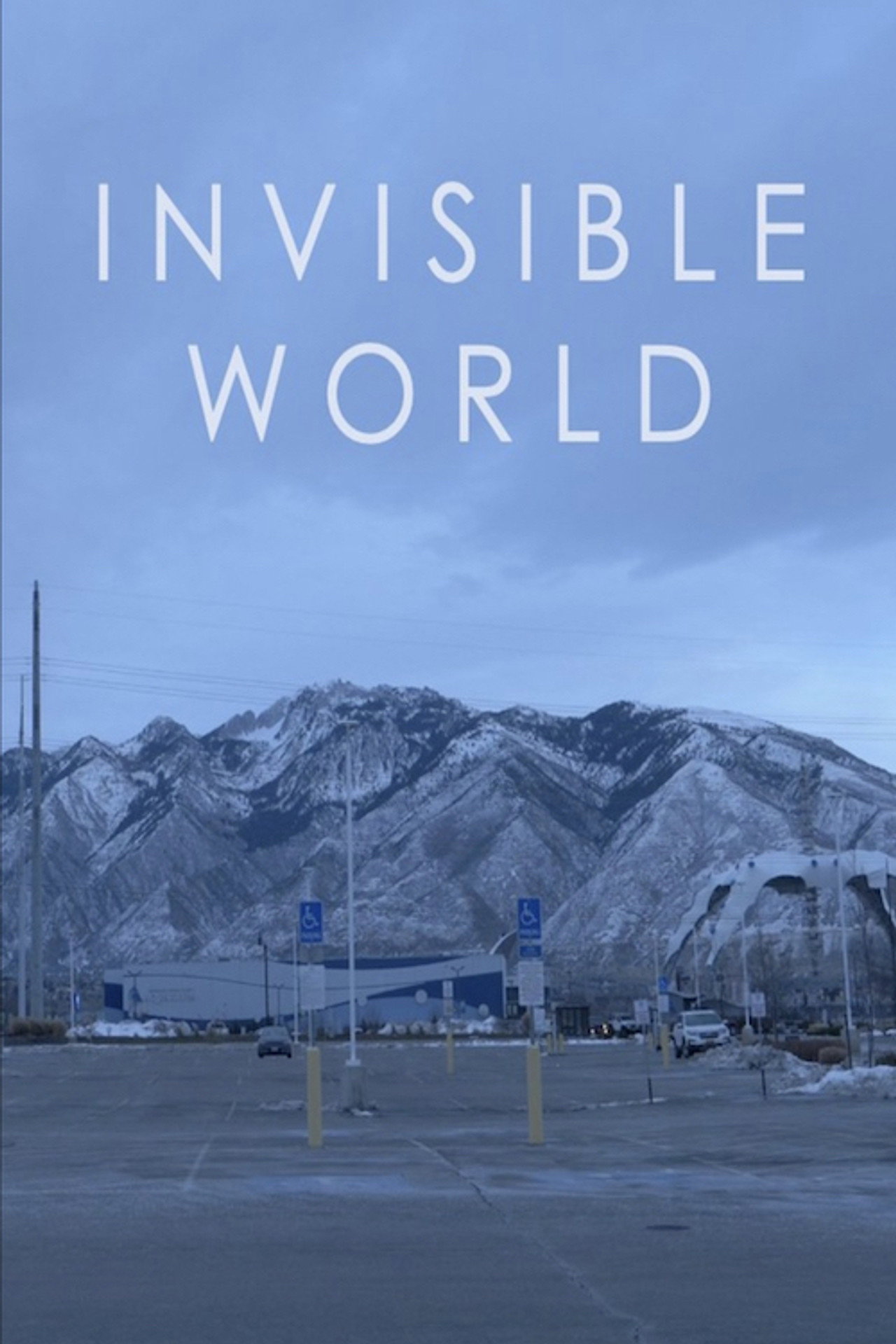 Invisible World filmaffisch