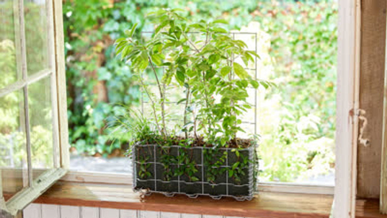 DESIGN TALKS plus — Épisode 18