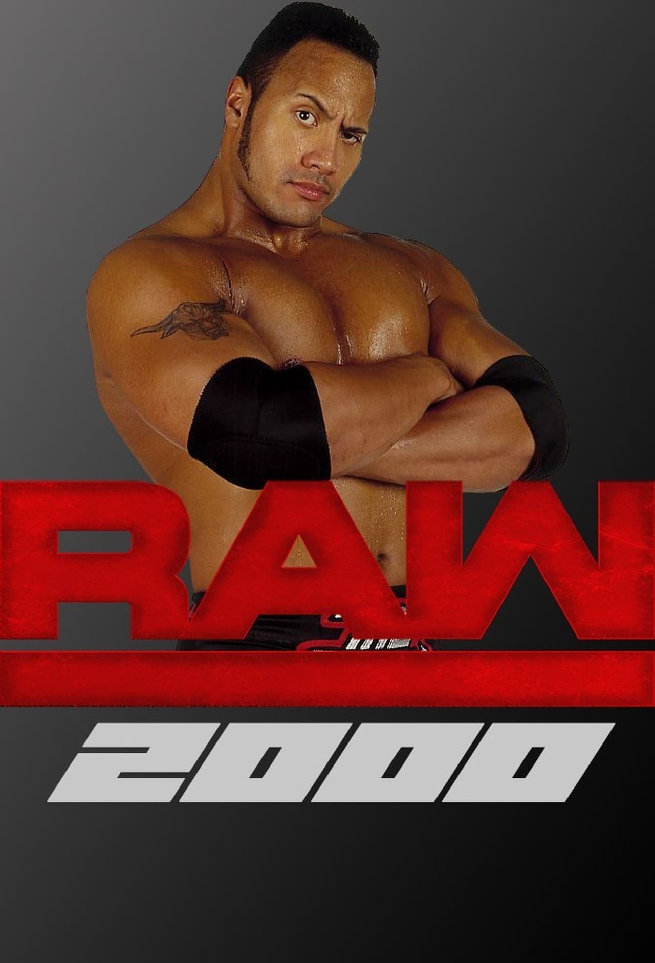 WWE Raw Season 8