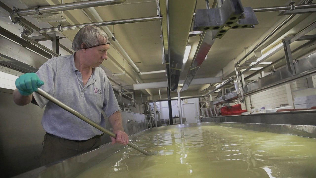 Hook's Cheese