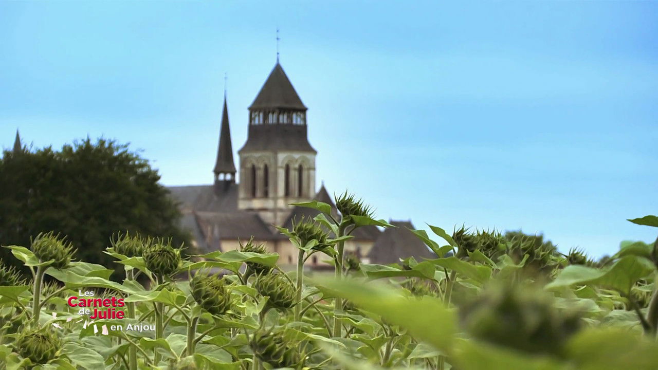 Les Carnets de Julie — Le Pays Saumurois, en Anjou