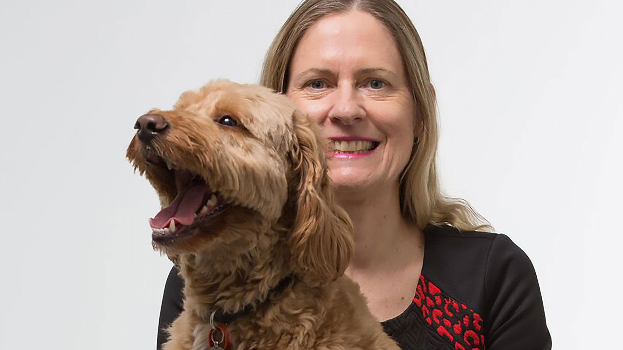 Top Jobs for Dogs — Épisode 4