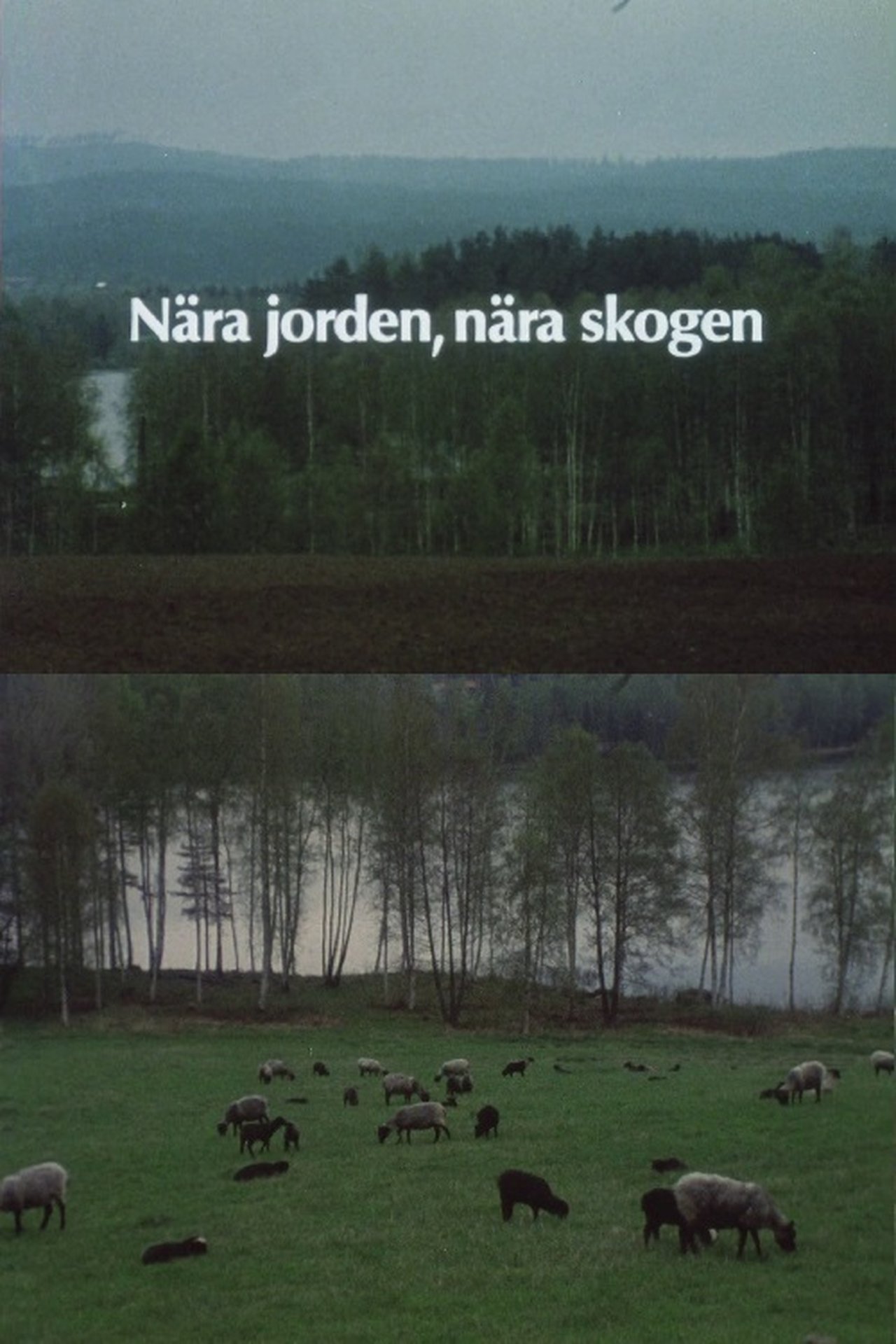 Nära jorden, nära skogen Nära jorden, nära skogen