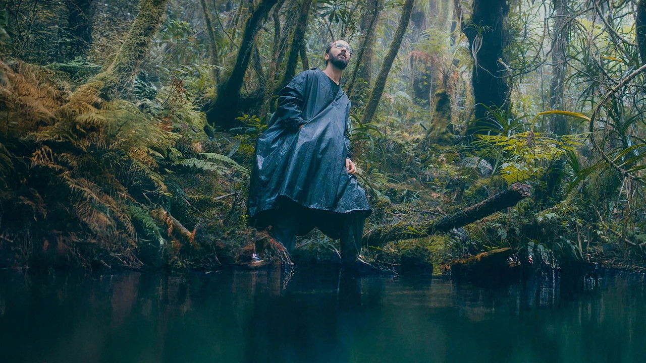 La forêt d'émeraude