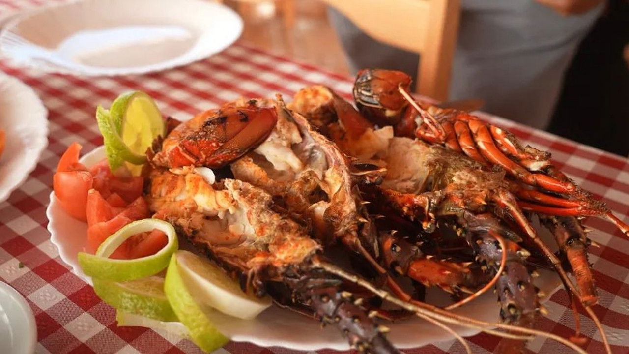 Voyage en cuisine - Season 1 Episode 138 : Episode 138