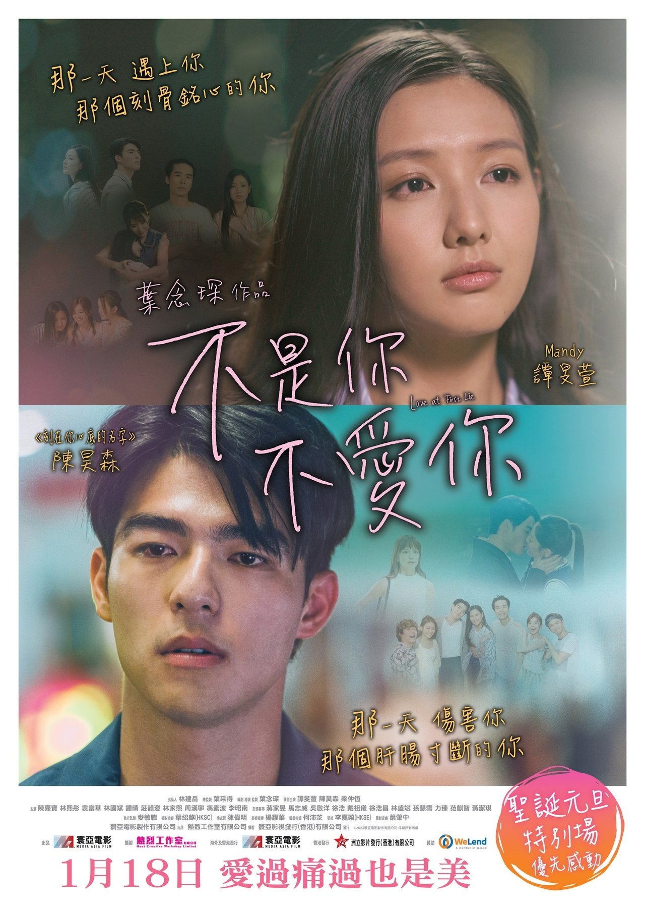 不是你不愛你 poster