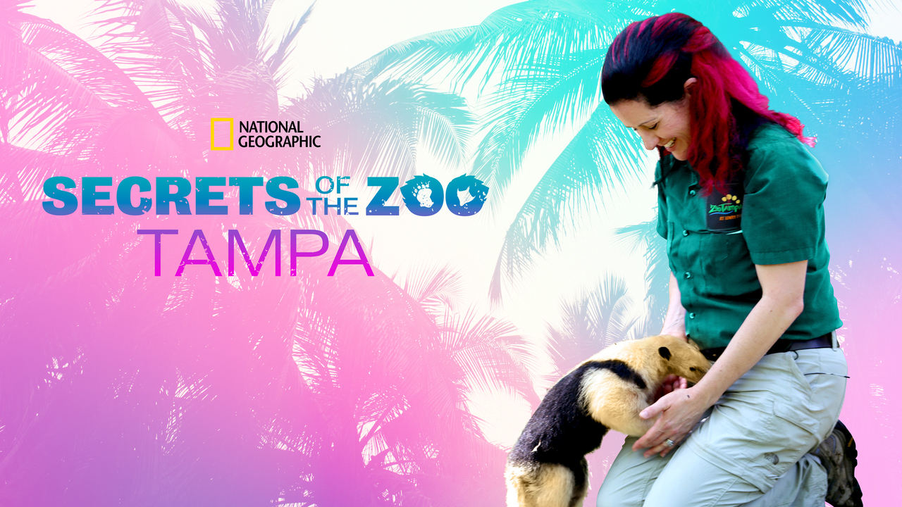 Secrets of the Zoo: Tampa background