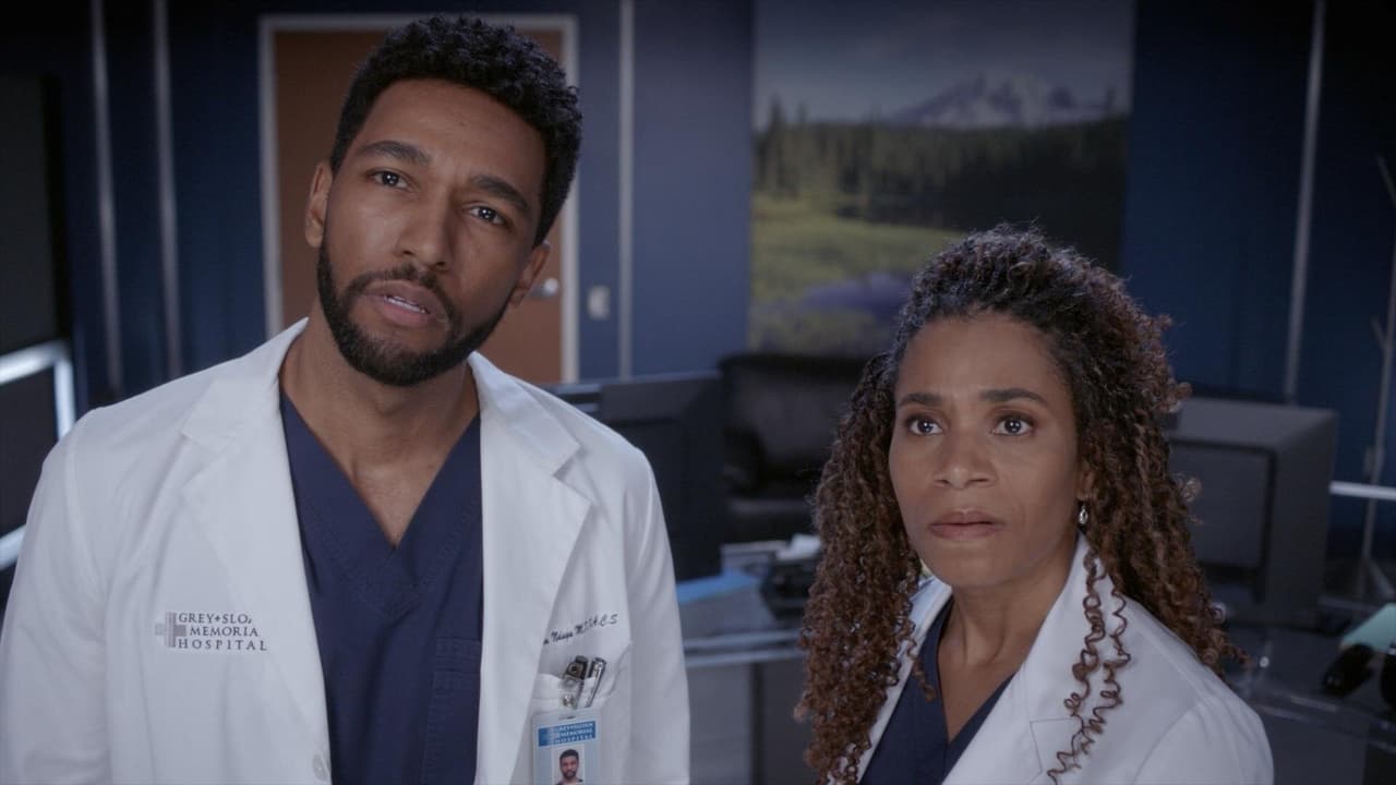 Grey's Anatomy - Season 19 Episode 14 : Shadow of Your Love