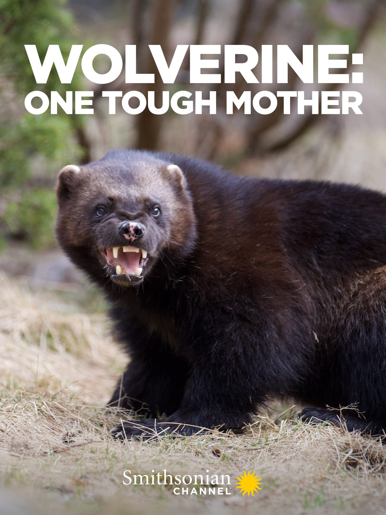 Wolverine: One Tough Mother poster