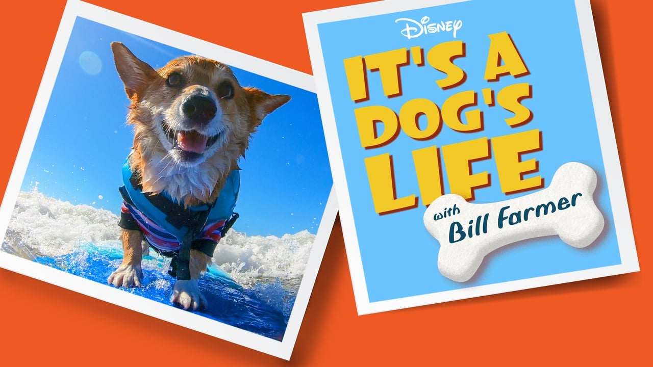 It's a Dog's Life with Bill Farmer background