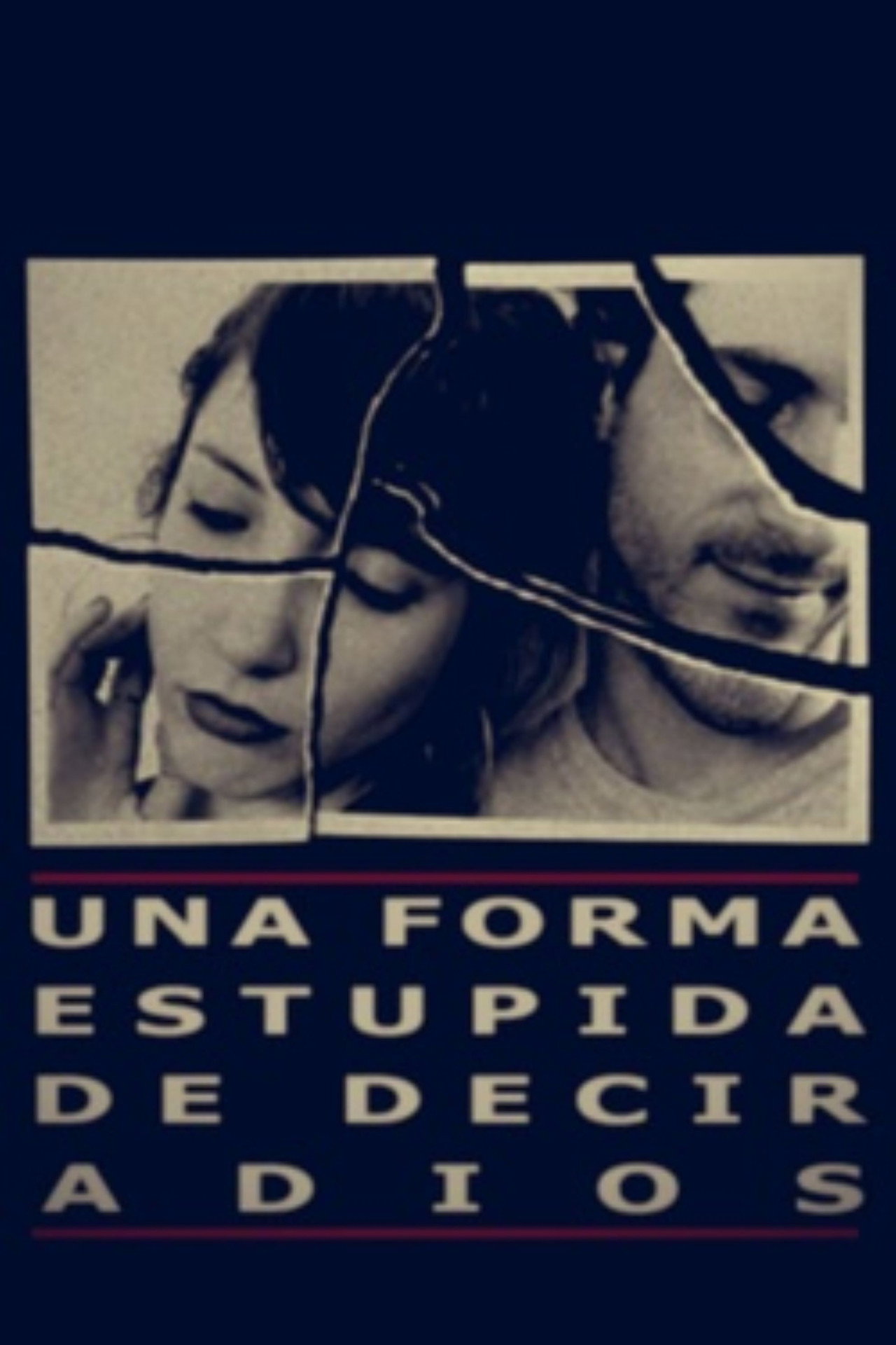 Una forma estúpida de decir adiós filmaffisch