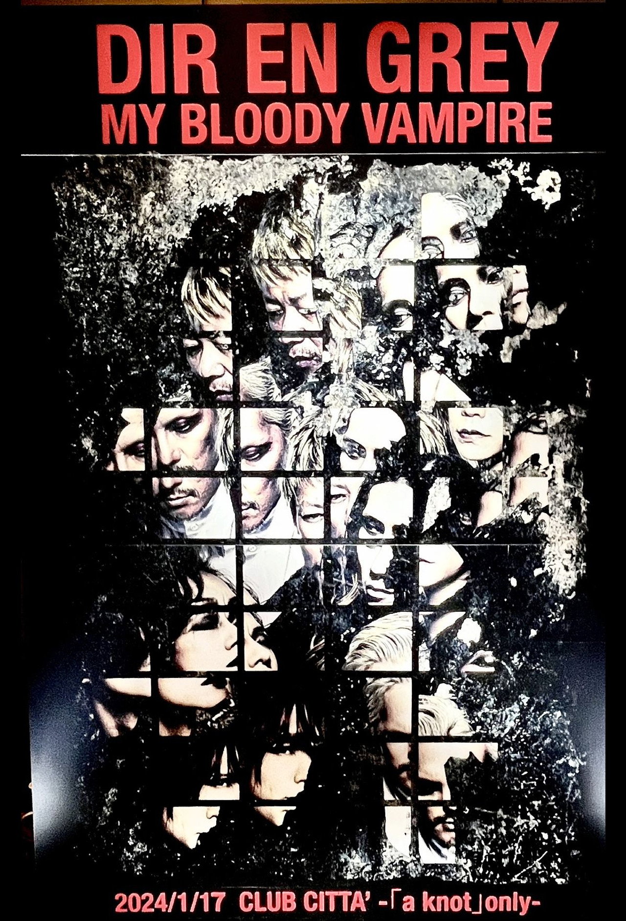 DIR EN GREY: My Bloody Vampire Backdrop
