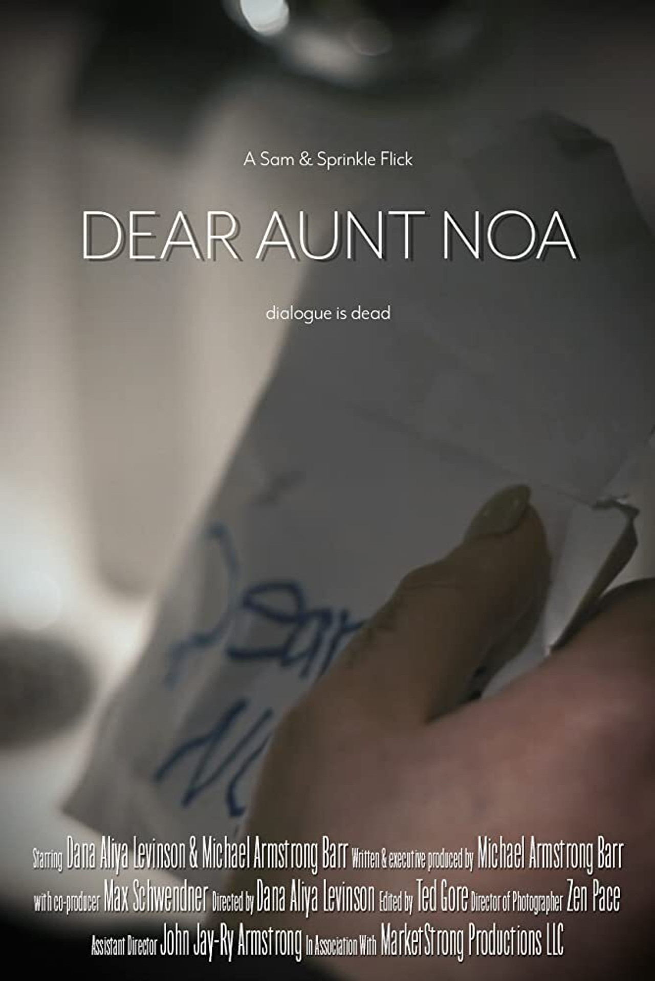 Dear Aunt Noa filmaffisch