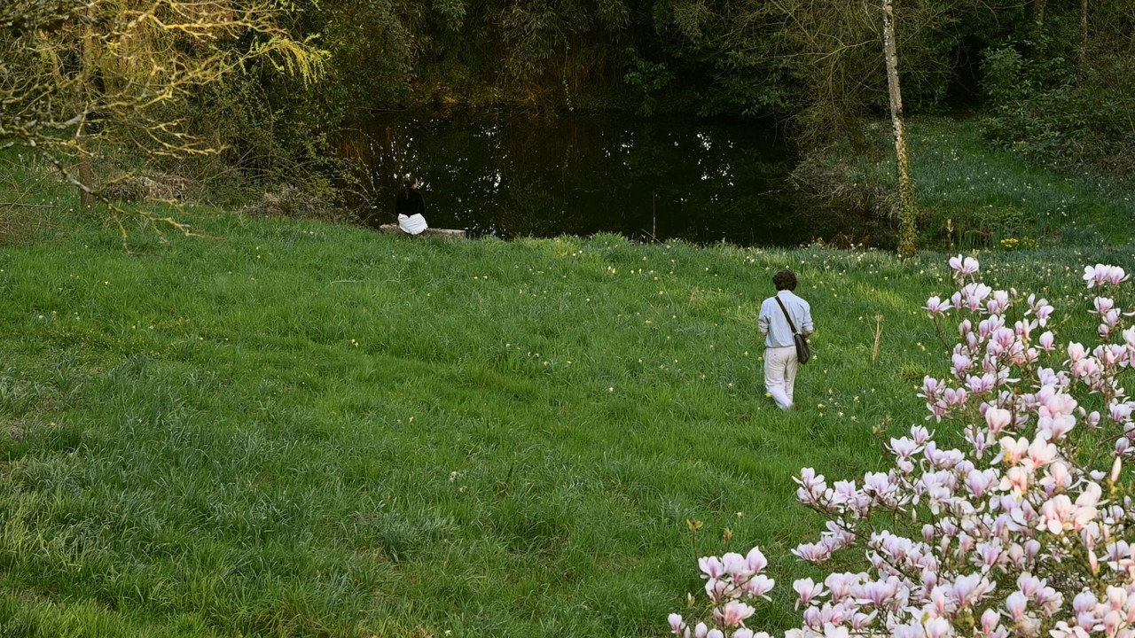 Werther still 2